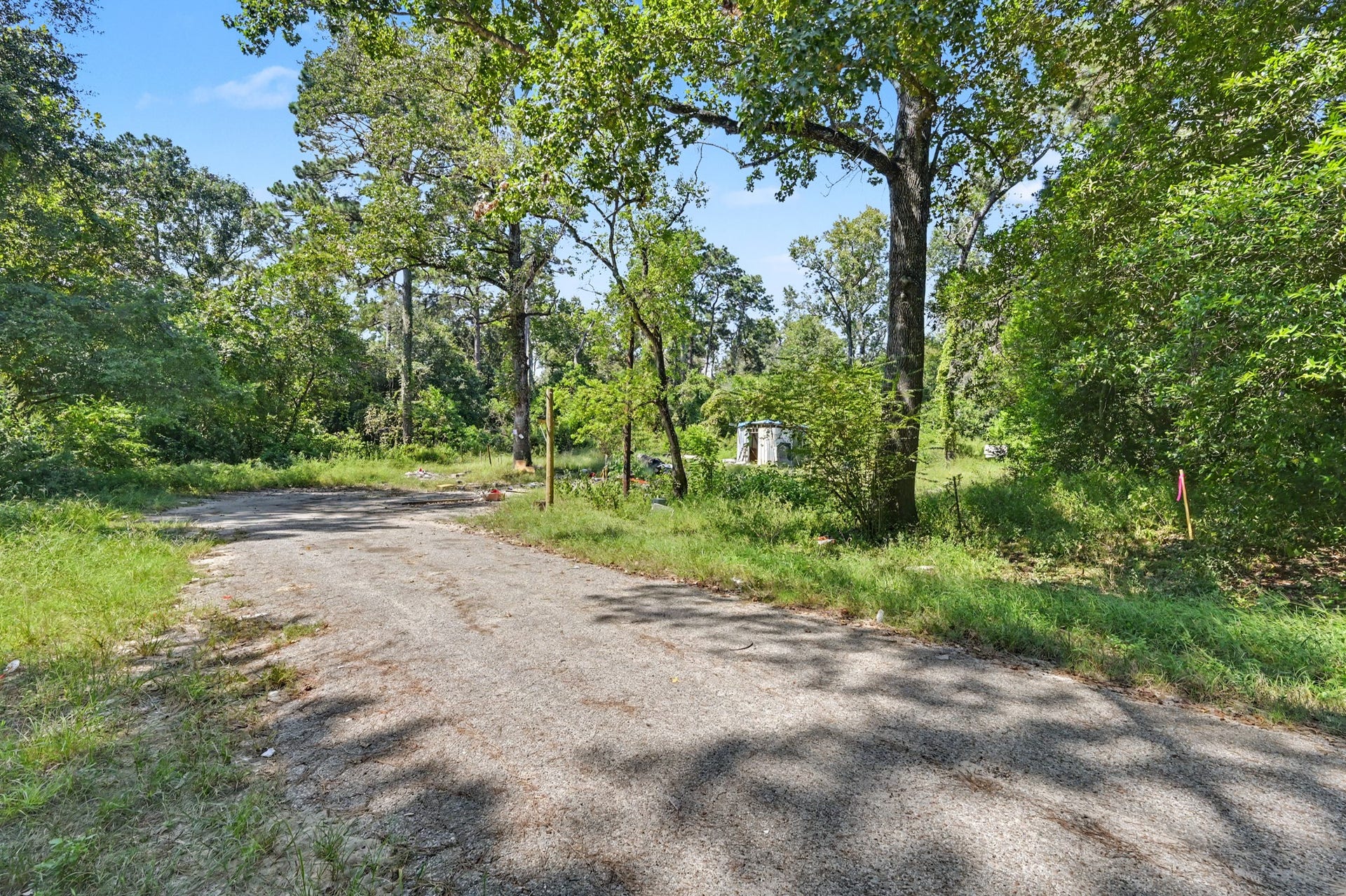 25589 Peach Creek Drive, New Caney, TX 77357 Street-level view of the 0.40-acre corner lot showing peaceful neighborhood access and mature trees.