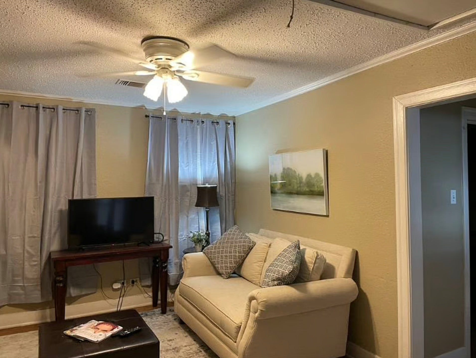 Living room in garage apartment.