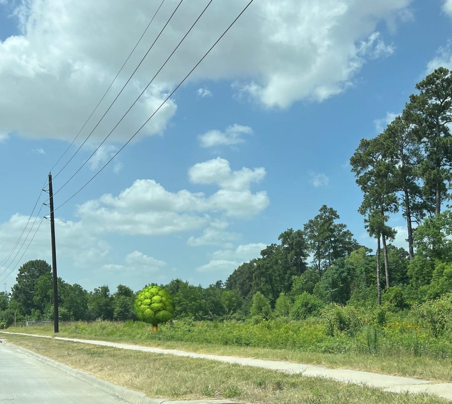 Property photo for 0 State Highway 249, Tomball, TX