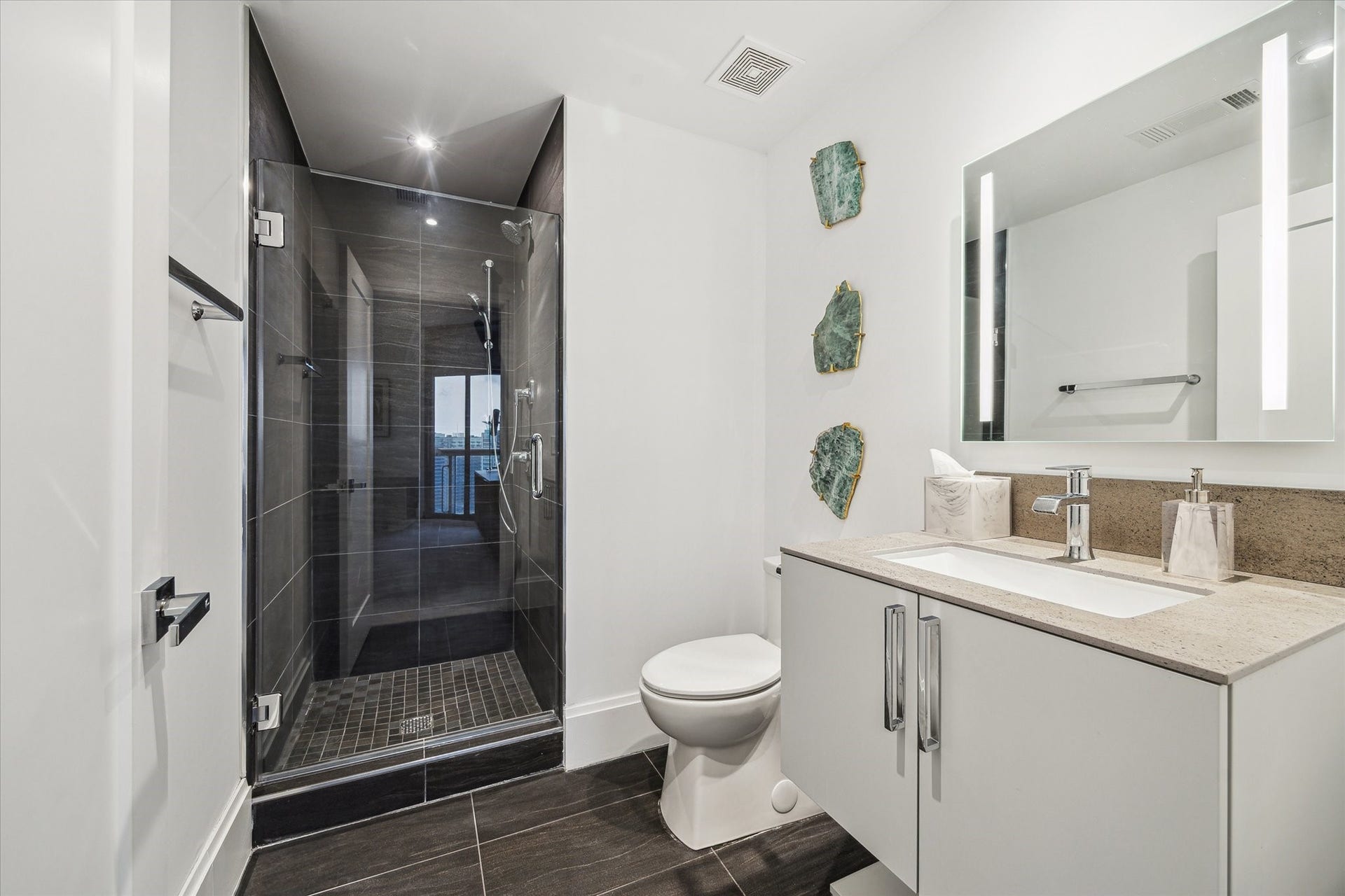 1701 Hermann Drive, #30D, Houston, TX 77004 Guest Bathroom