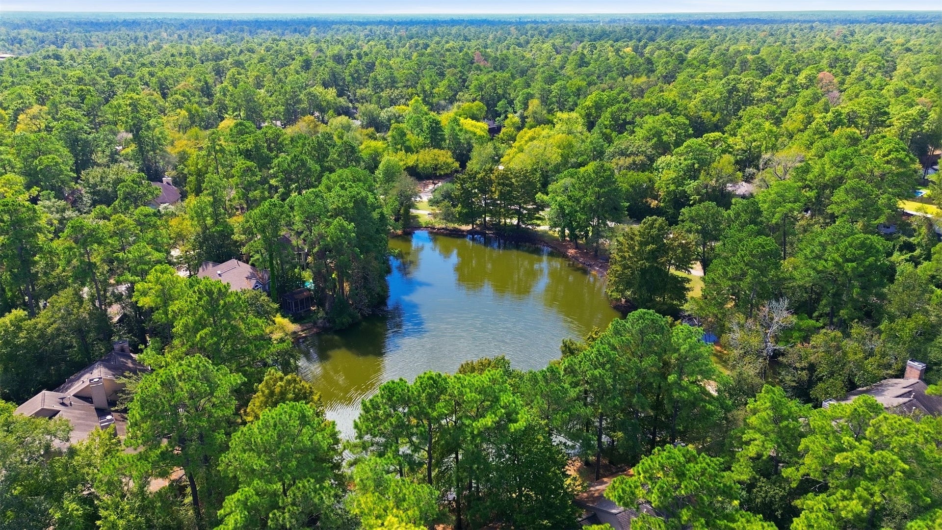 23 Thrush Grove Place, The Woodlands, TX 77381 Forest lake park