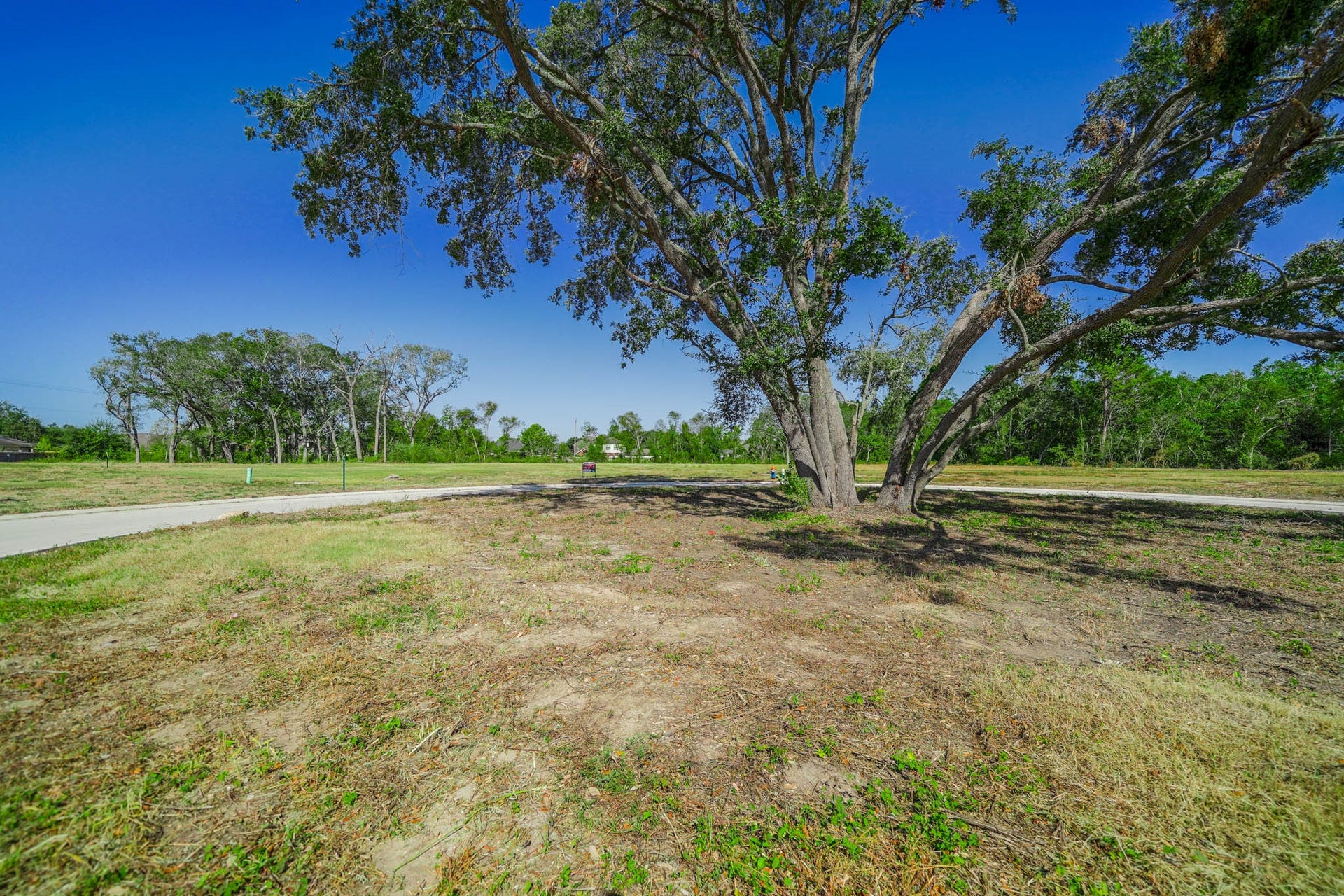 1626 Crown Oaks Court, Pearland, TX 77581 1626 Crown Oaks Court, Pearland, TX 77581