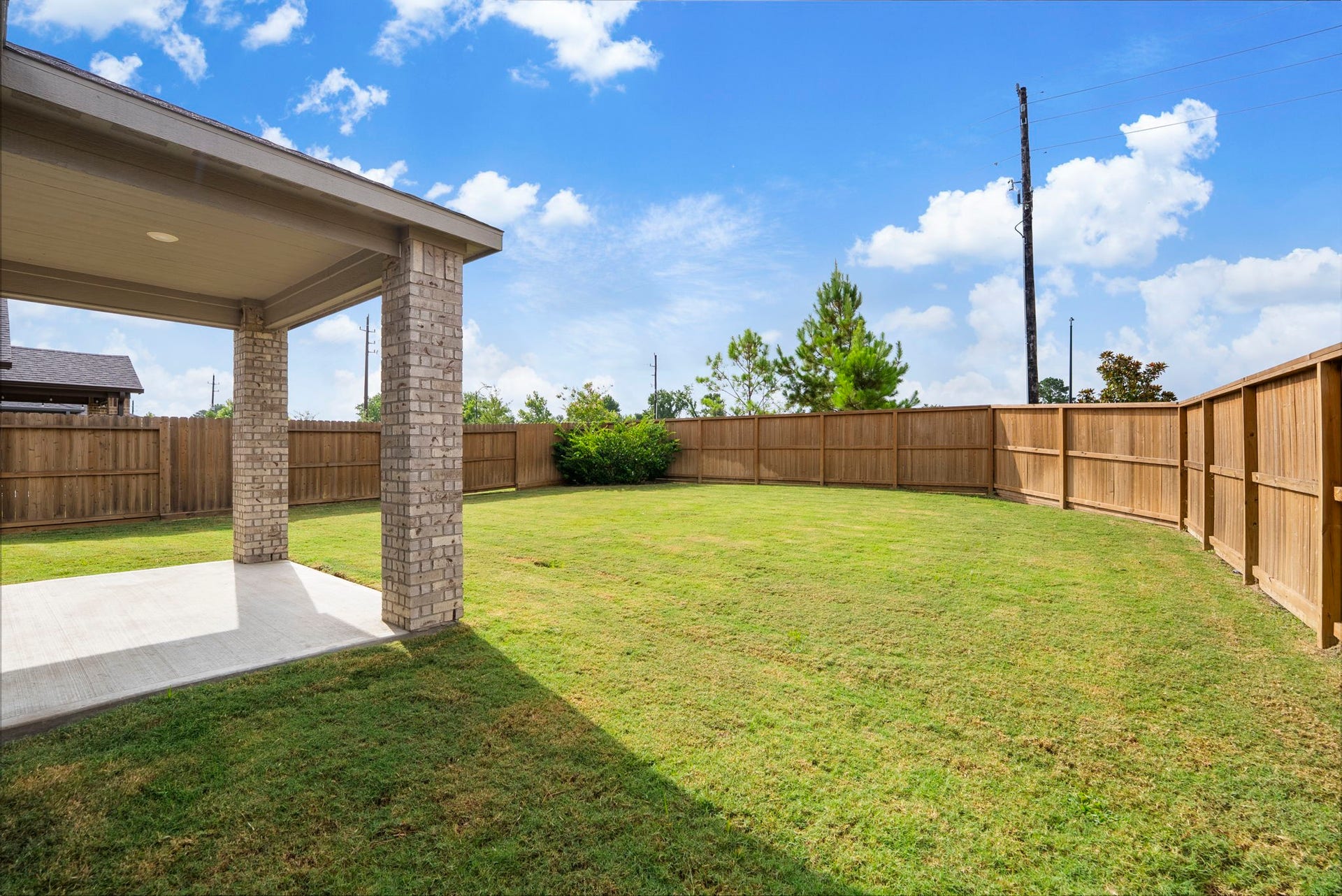 Back yard