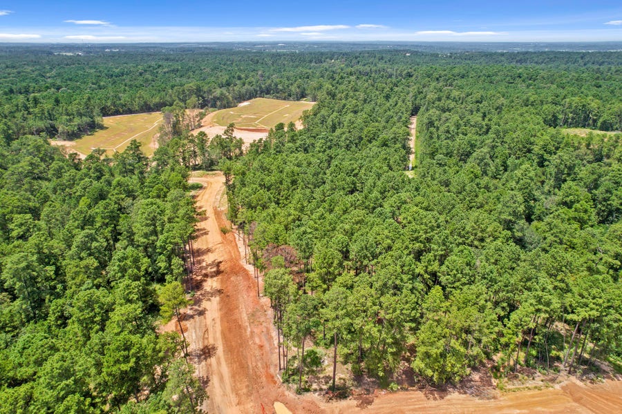 Property photo for 4041 Augusta Drive, Montgomery, TX