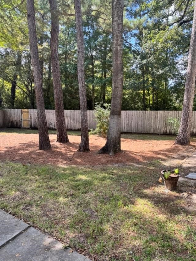 87 S SPIRAL VINE Circle, #87, The Woodlands, TX 77381 HOA greenspace adjacent to the home.