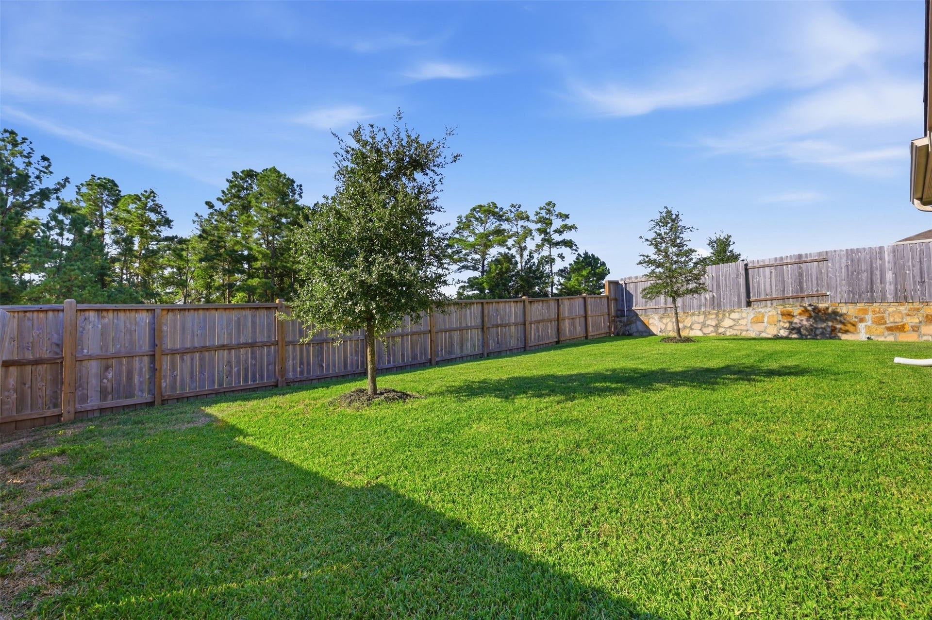 12219 Azur Springs Court, Conroe, TX 77304