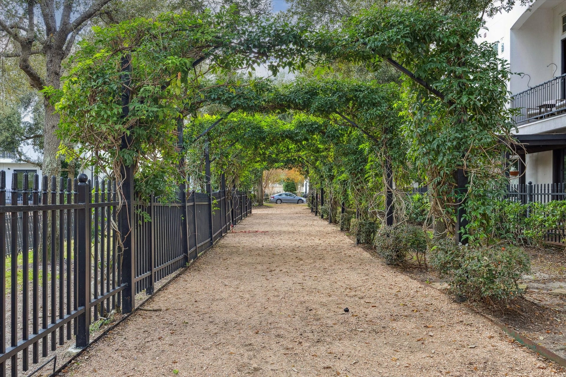 2725 Cohn Garden, Houston, TX 77007 Tree-lined pedestrian walkway framed by vine-covered pergolas and black iron fencing, creating a shaded, park-like approach through the community. A rare, peaceful feature that adds charm, privacy, and a true neighborhood feel.