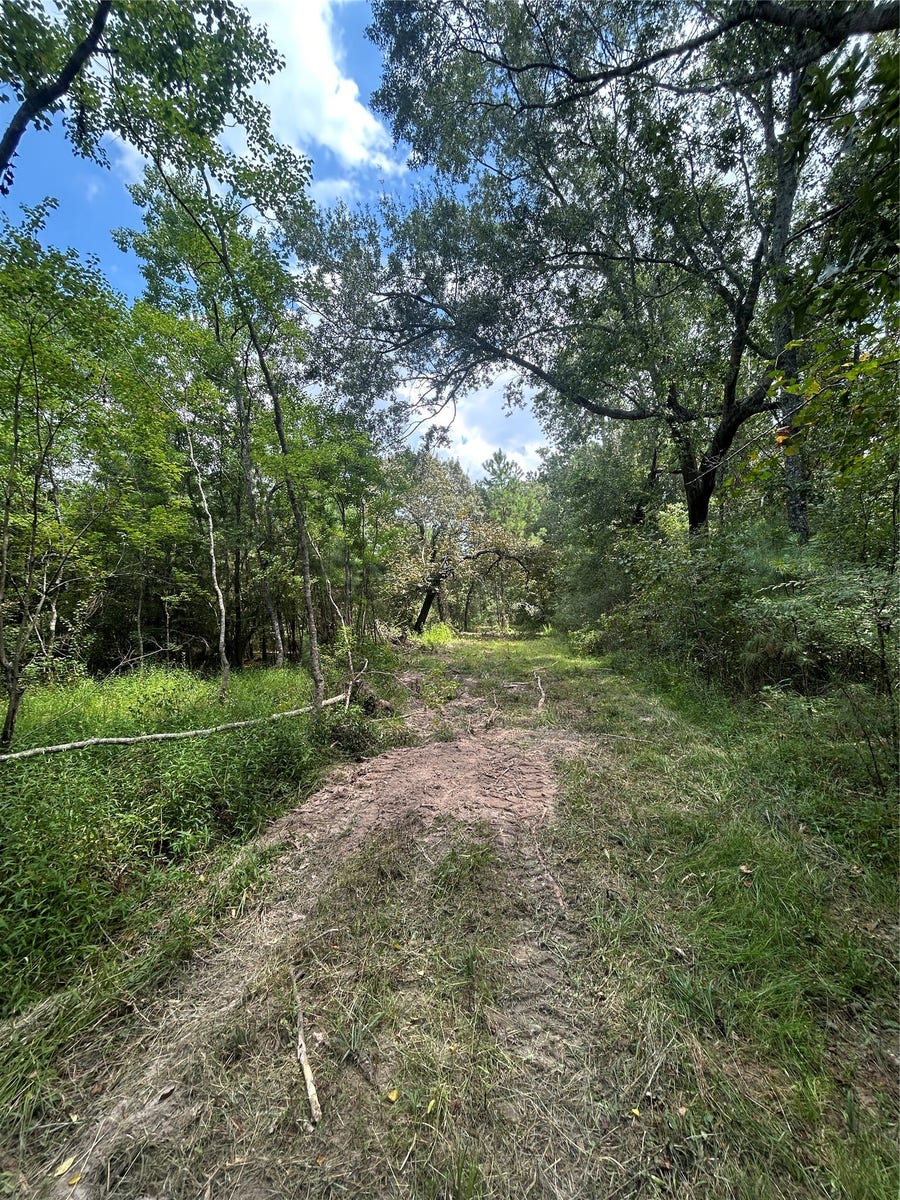 Property photo for 11919 Hickory Wood, Pinehurst, TX