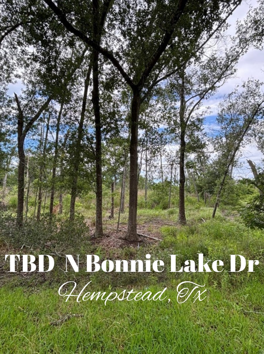 Property photo for TBD N Bonnie Lake Dr, Hempstead, TX
