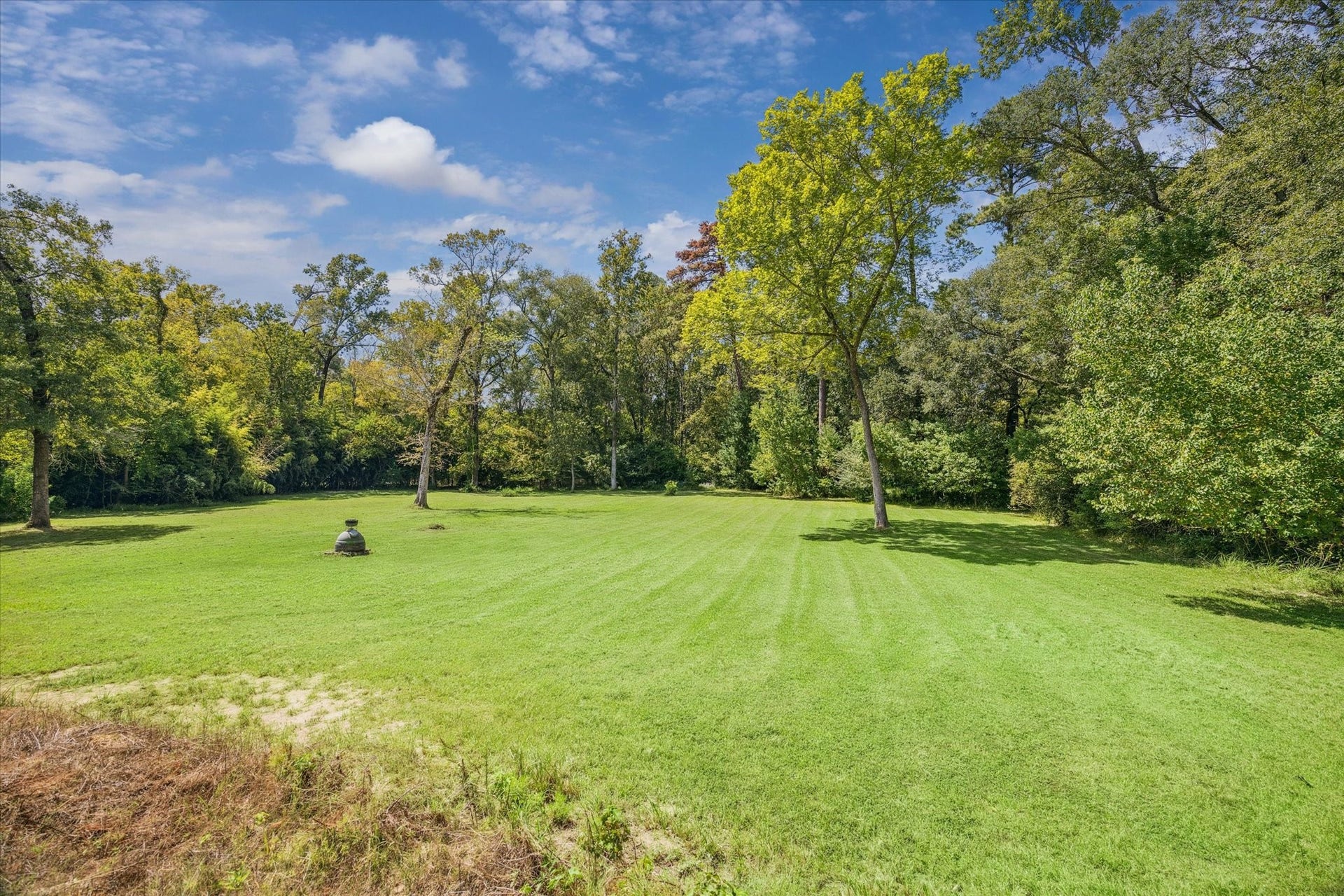 Abundant backyard green space with the lot spanning over 3 acres
