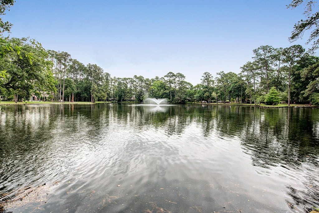 10 Sandalwood Drive, Houston, TX 77024 You'll often see kids and adults fishing at Lorrie Lake.