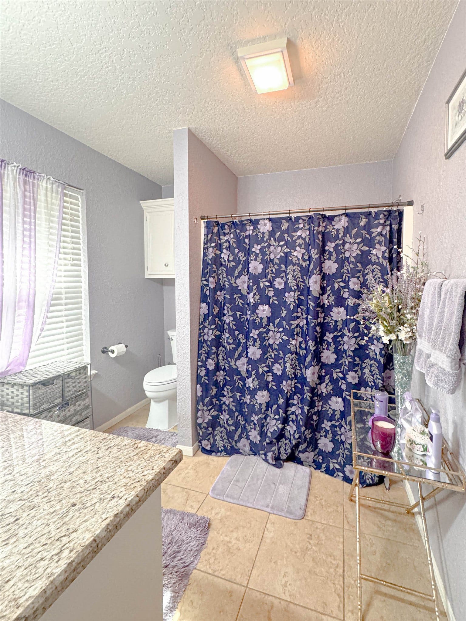 55 Zinnia Court, Lake Jackson, TX 77566 55 Zinnia Court, Lake Jackson, TX 77566