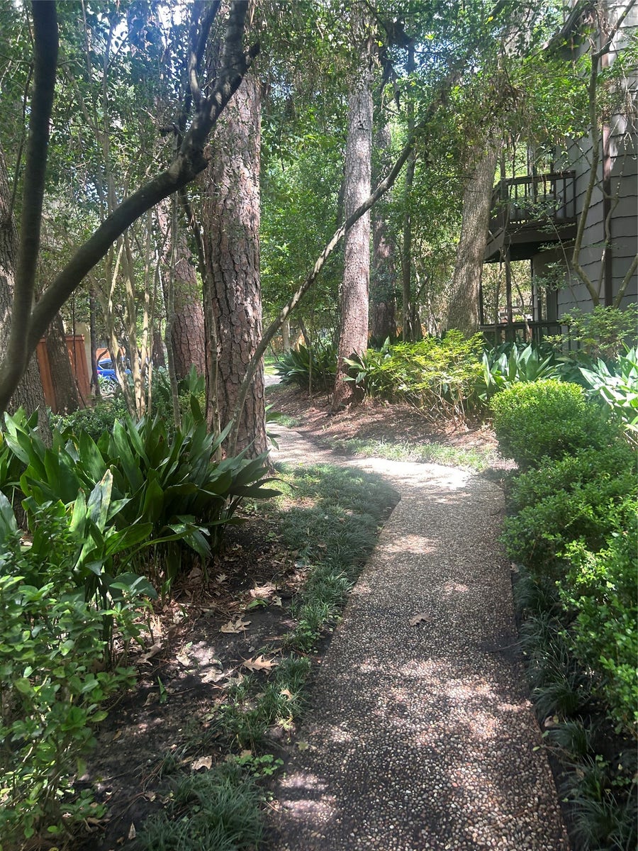 Property photo for 11711 Memorial Drive, #288, Houston, TX