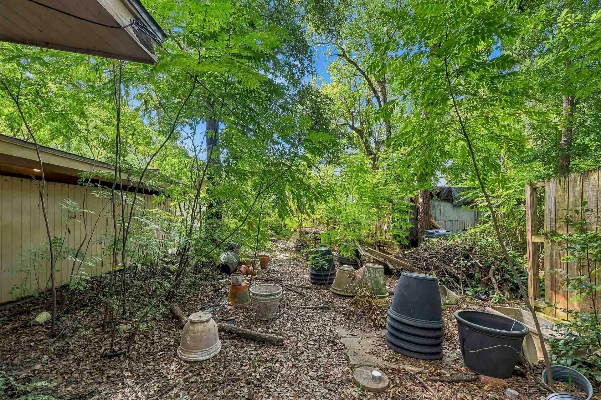 5107 Jackwood Street, Houston, TX 77096 Additional view of the vegetation and existing improvements. Sold AS-IS with no seller repairs.
