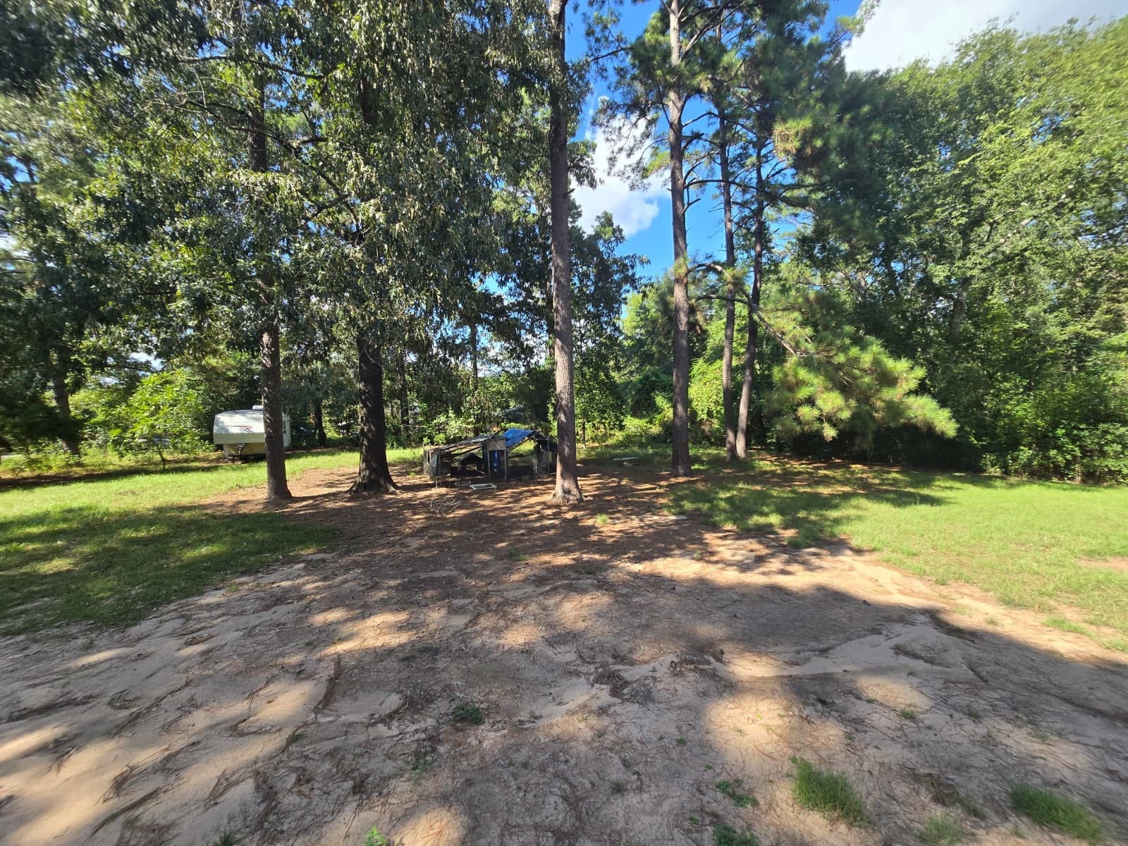 Expansive wooded lot featuring mature trees, providing ample shade and a serene natural setting, perfect for outdoor leisure and relaxation.