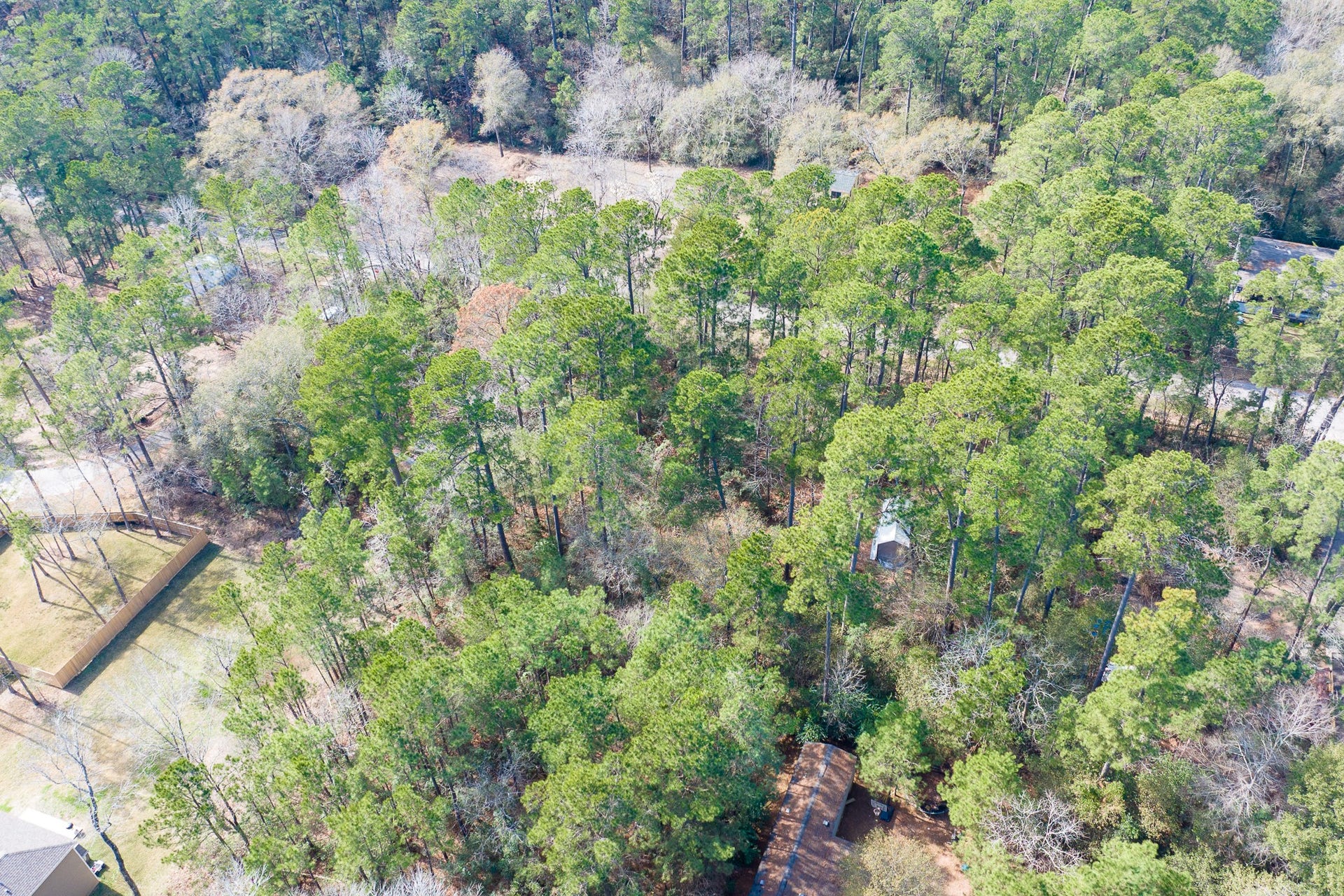 0 Forest Drive, Montgomery, TX 77356