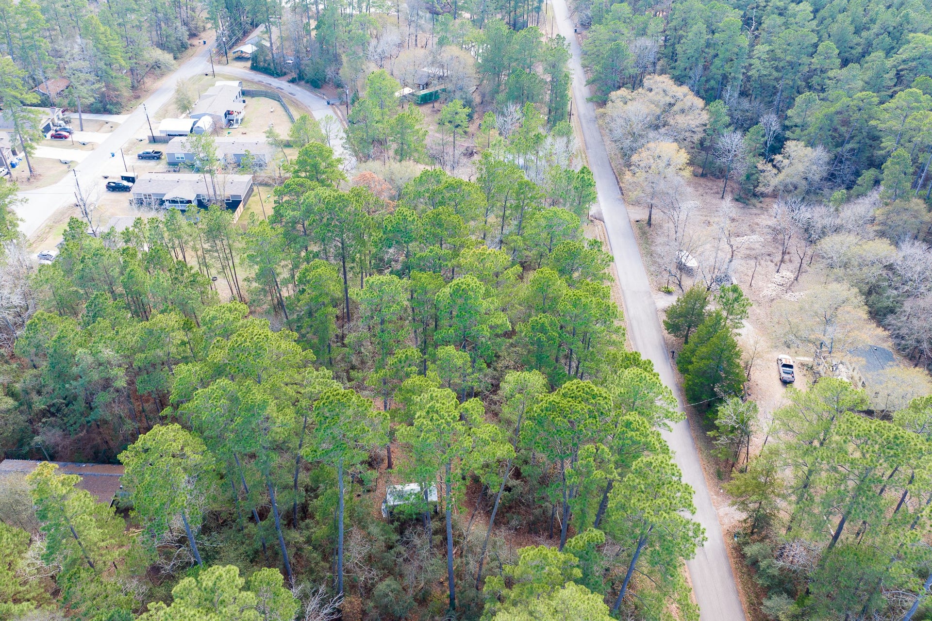 0 Forest Drive, Montgomery, TX 77356