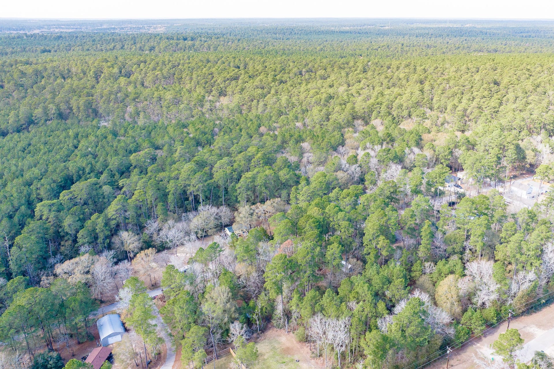0 Forest Drive, Montgomery, TX 77356