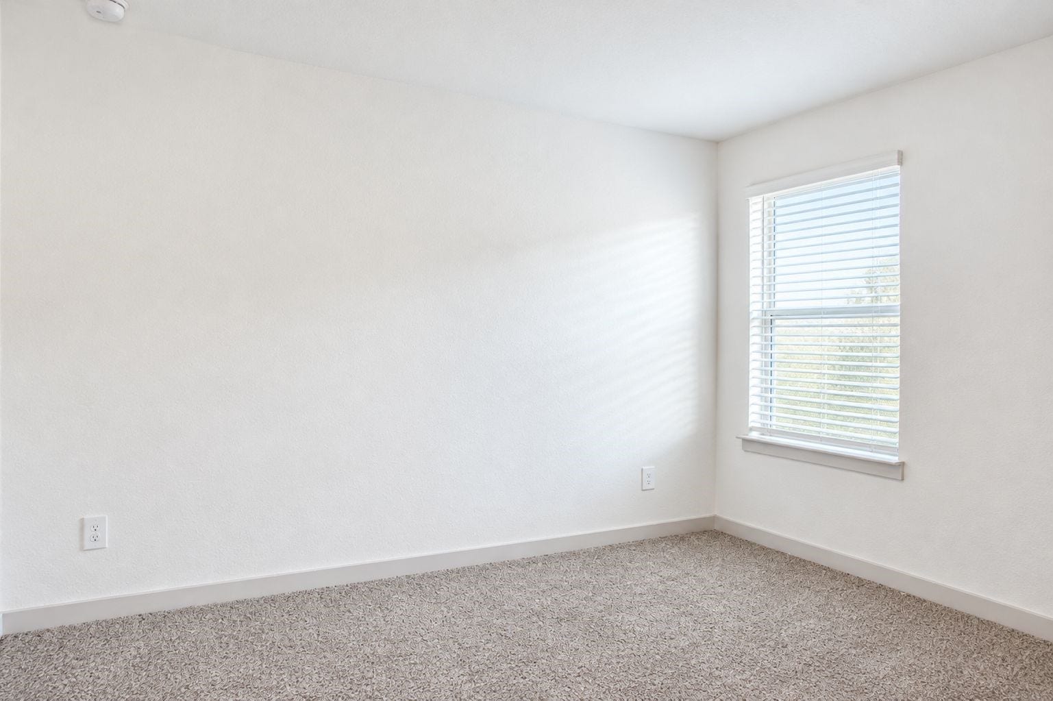 7931 Brumbly Lane, Rosharon, TX 77583 2nd Bedroom