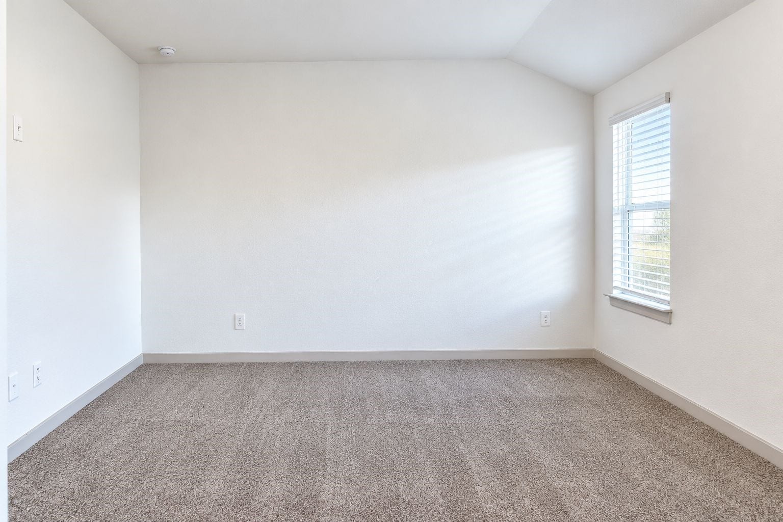 7931 Brumbly Lane, Rosharon, TX 77583 Master Bedroom