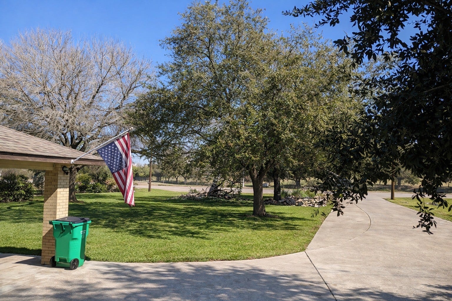 Curved concrete driveway winding through a serene, expansive front lawn shaded by sprawling mature trees.