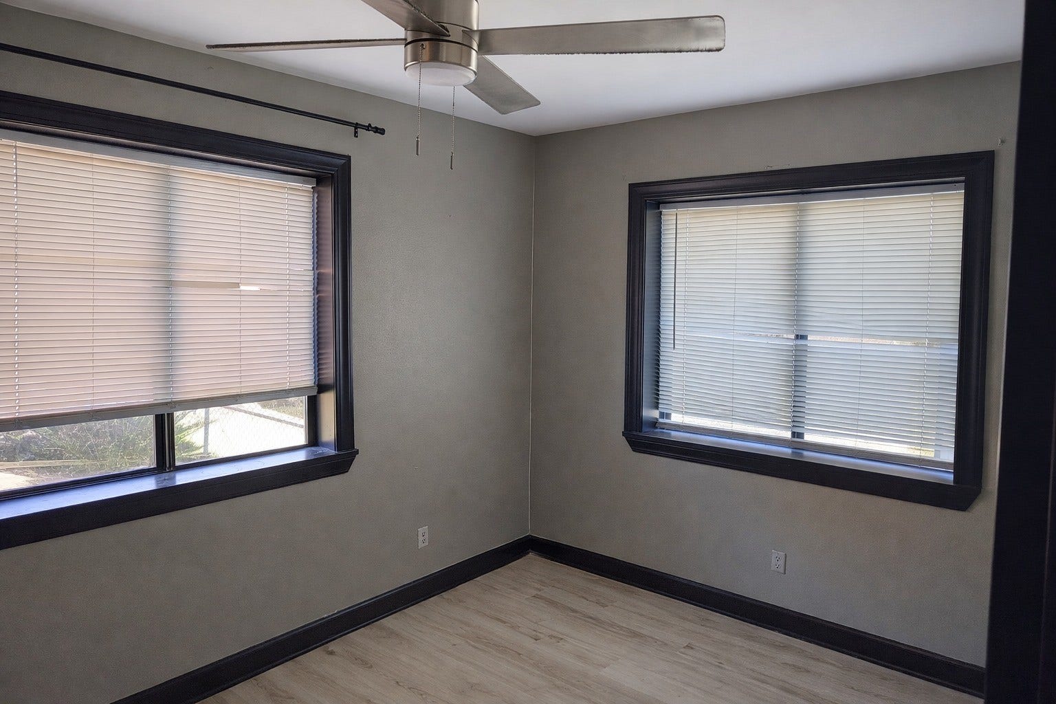 Cozy bedroom area featuring dark gray painted walls, black window trim accents, light wood-look flooring, and a modern ceiling fan.