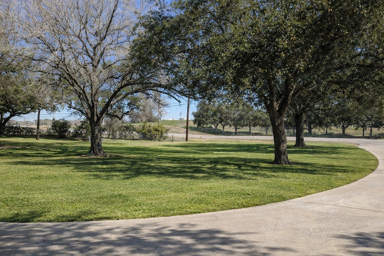 Broad view of the manicured front lawn and curved concrete driveway shaded by stately mature oaks.