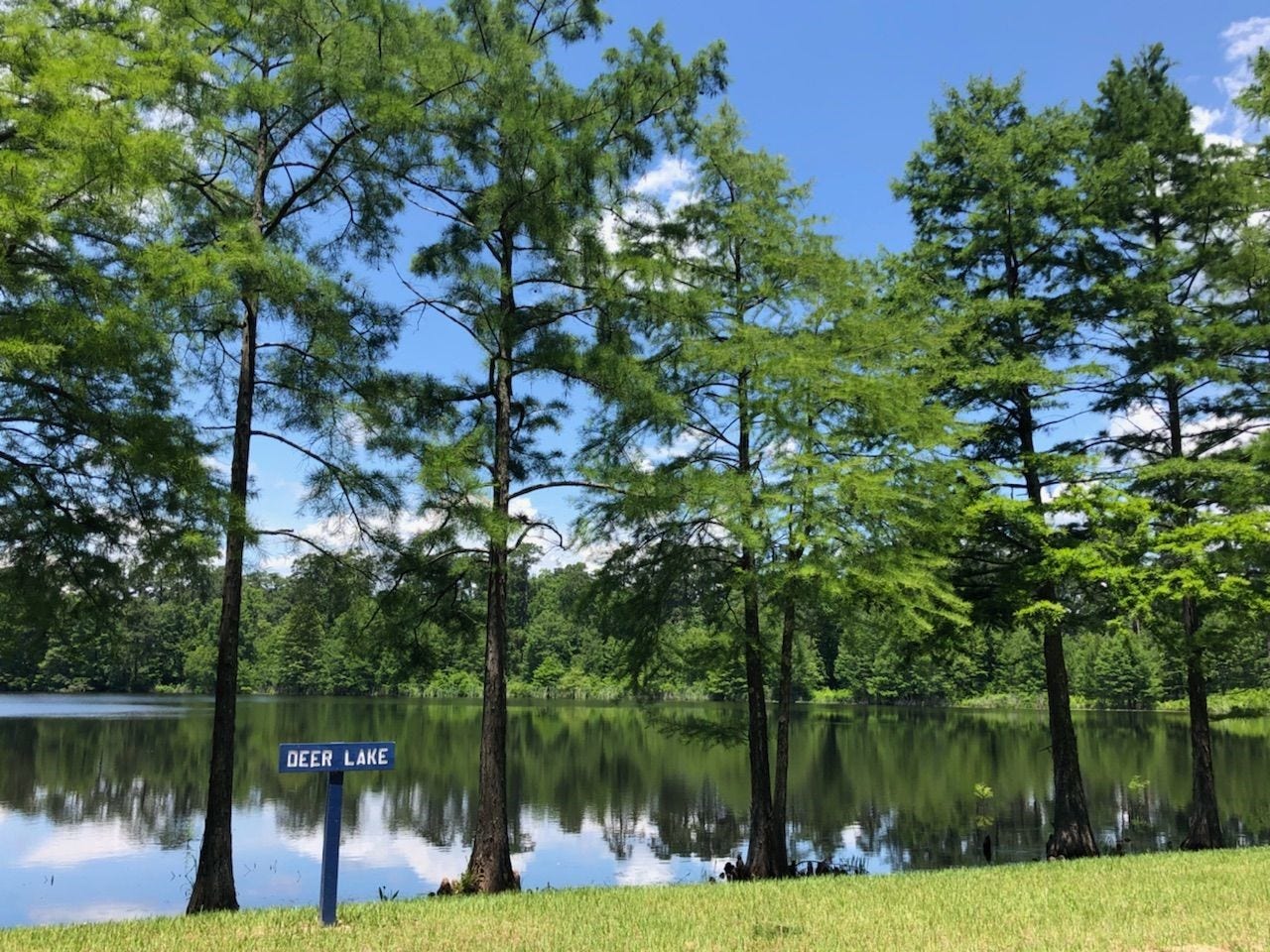 316 Silver Sage Street, Conroe, TX 77304 Community Amenities