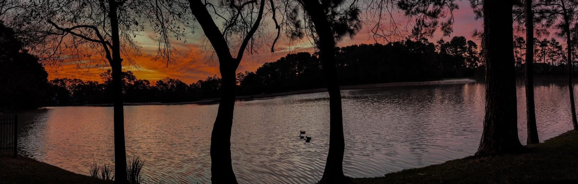 8415 Sunset Loch Drive, Spring, TX 77379 8415 Sunset Loch Drive, Spring, TX 77379