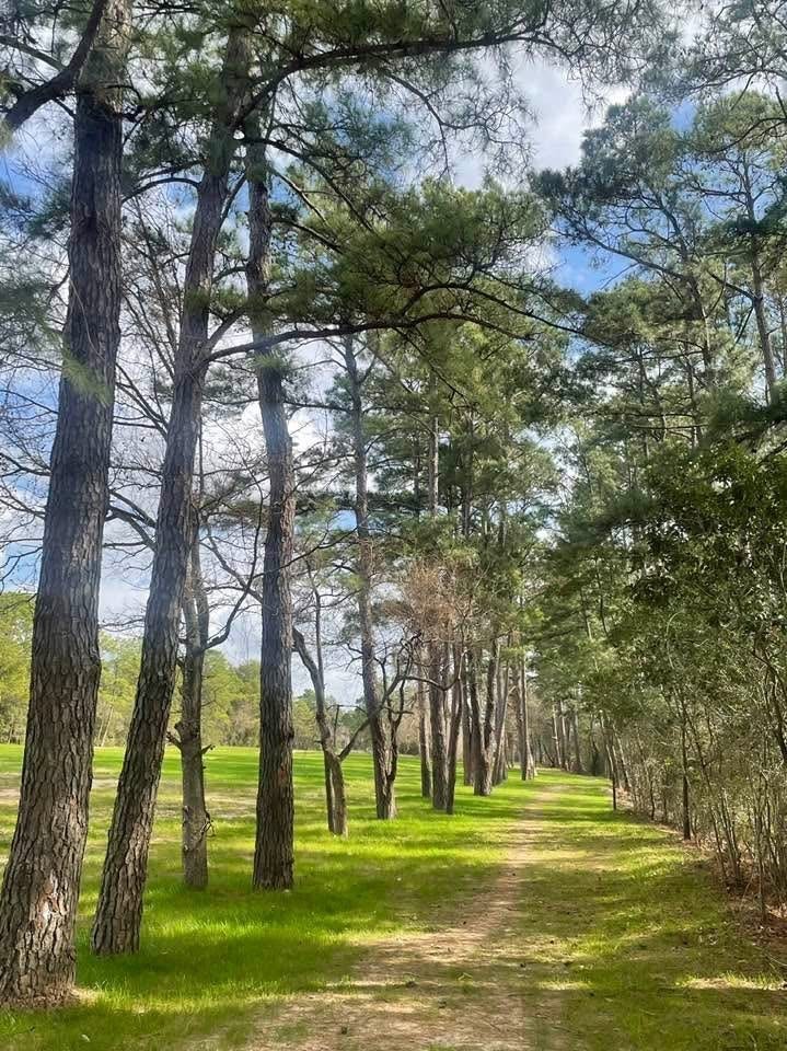 8415 Sunset Loch Drive, Spring, TX 77379 Lots of nature in the community to walk and decompress from the daily grind.
