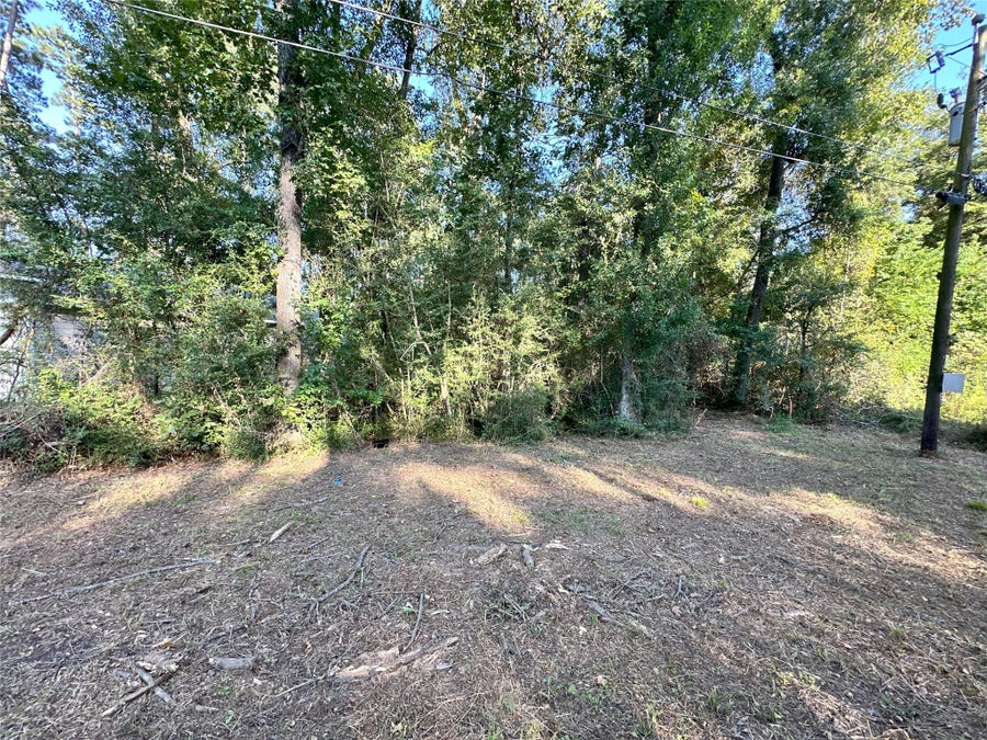 Property photo for 0 Kickapoo Trail, Willis, TX