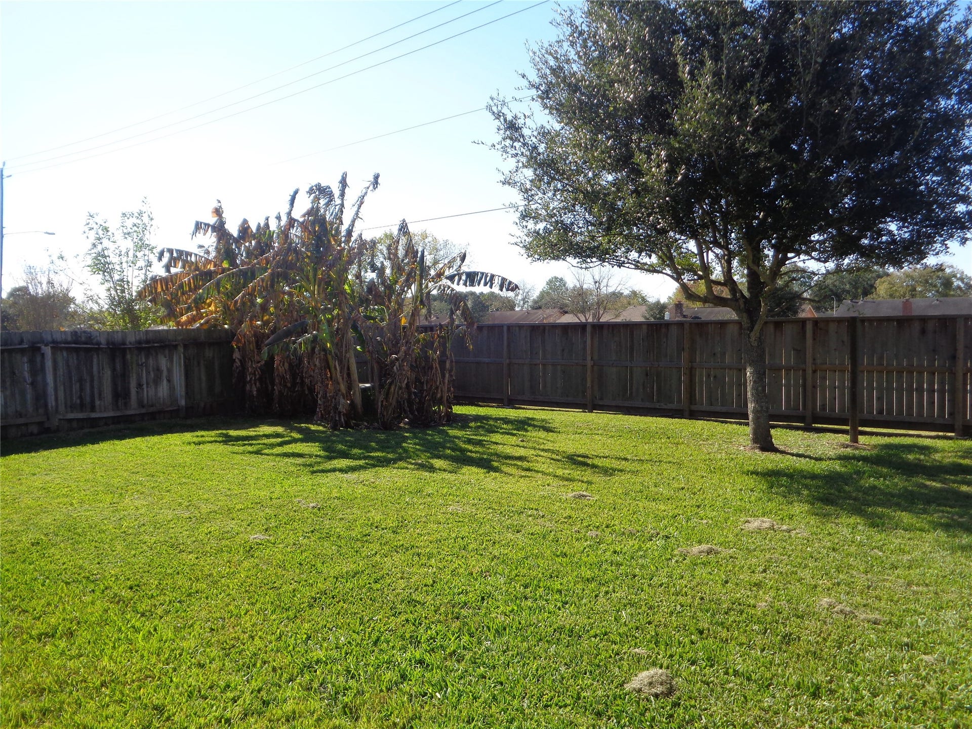 9414 Westacre Place, Houston, TX 77083 Photo, previous listing