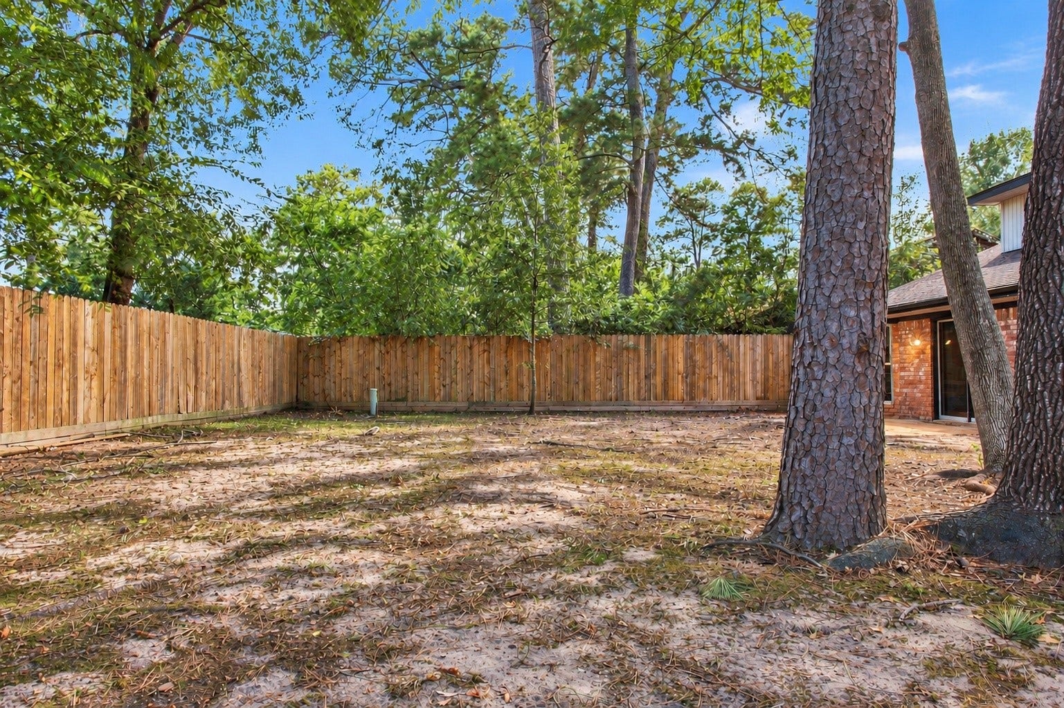 Another angle of the backyard