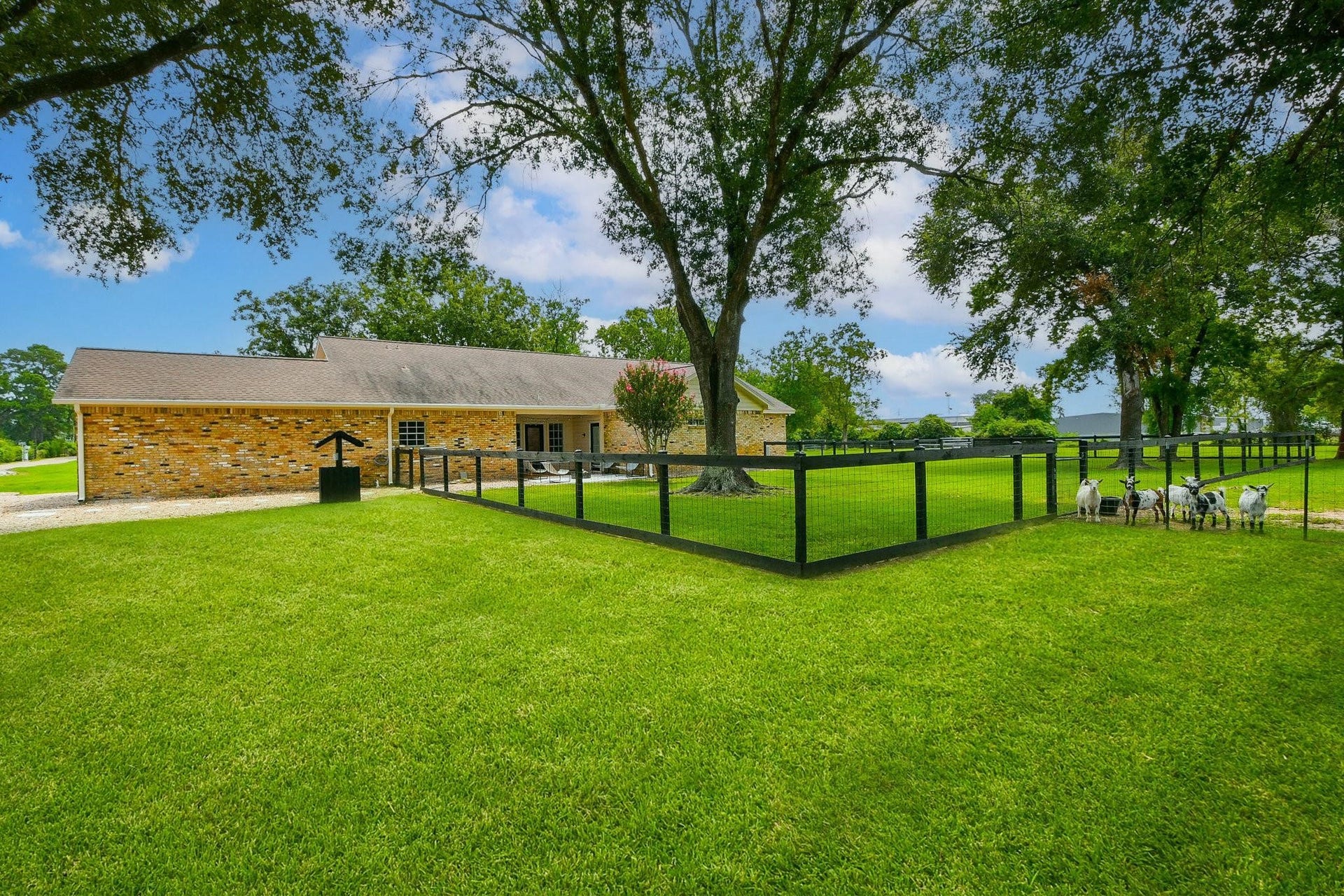 22035 Buescher Road, Tomball, TX 77377 Large fully fenced in backyard in the primary house