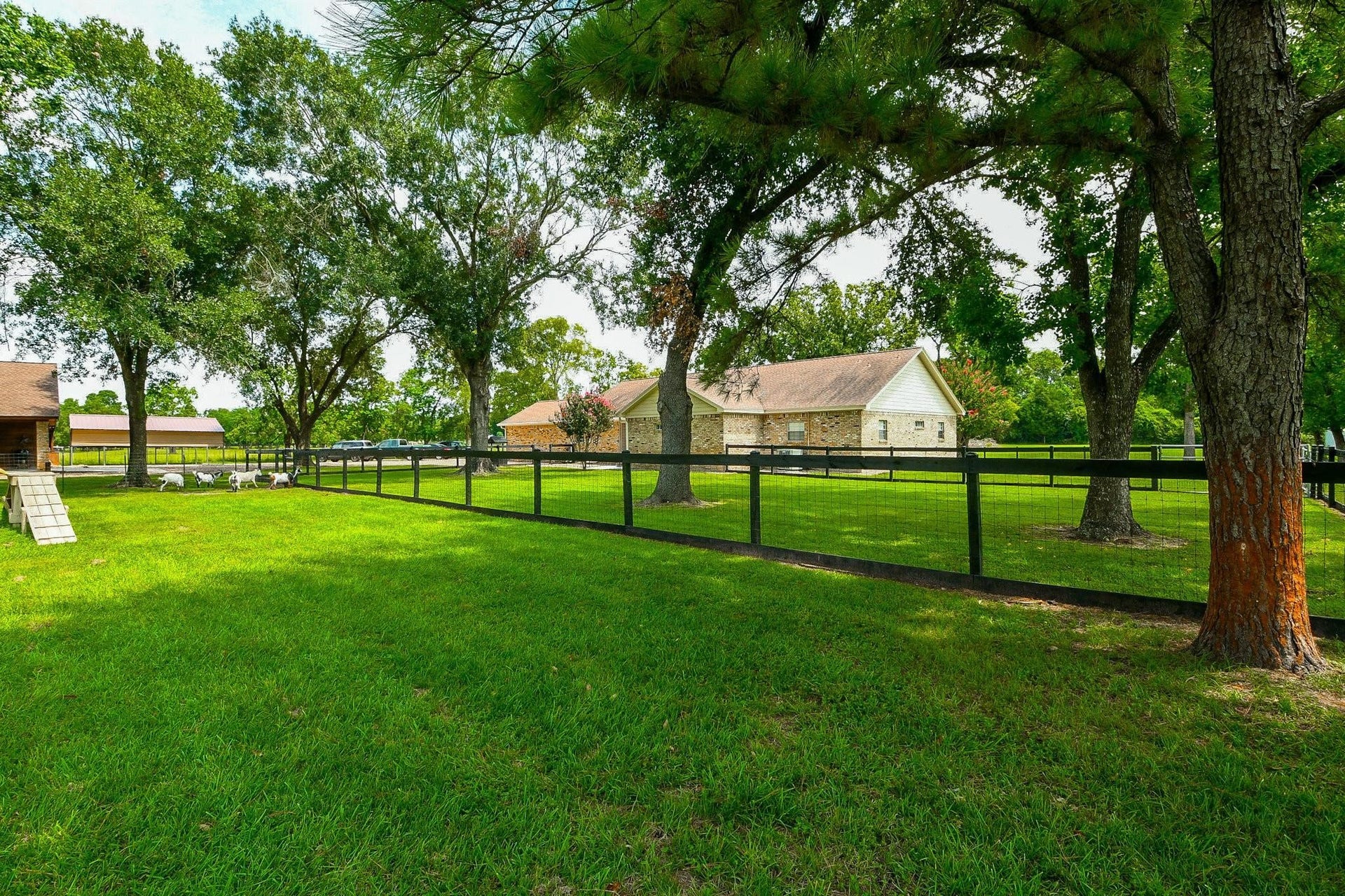 22035 Buescher Road, Tomball, TX 77377 View from the goat pasture at the rear of the property