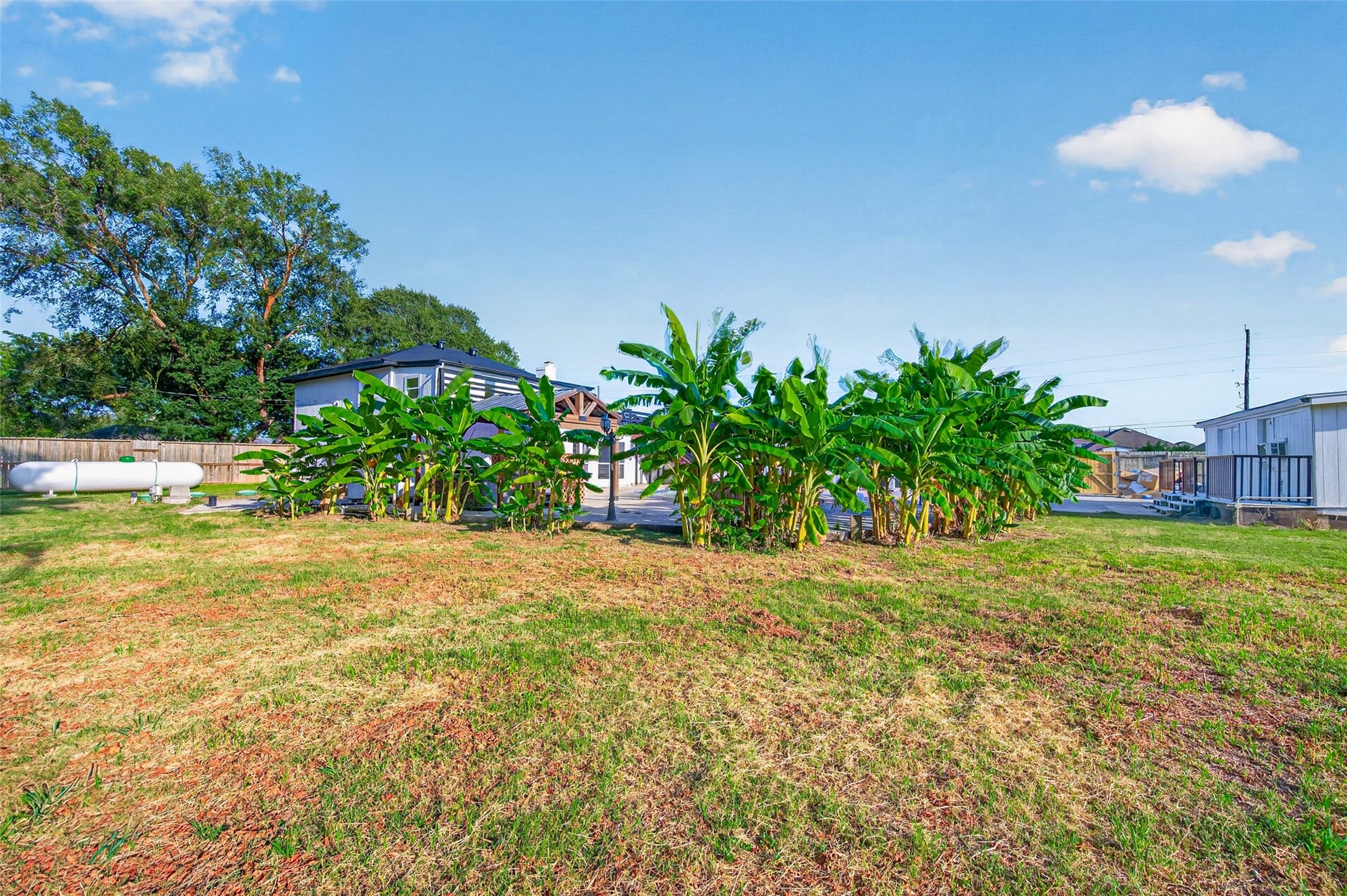 3811 Empress Lane, Richmond, TX 77406 Backyard