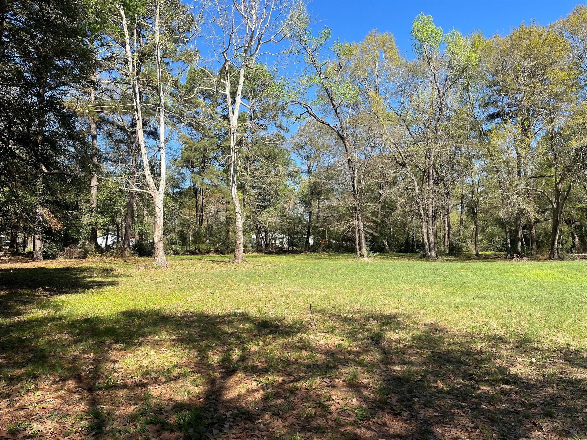 13527 McComb Road, Conroe, TX 77302 13527 McComb Road, Conroe, TX 77302