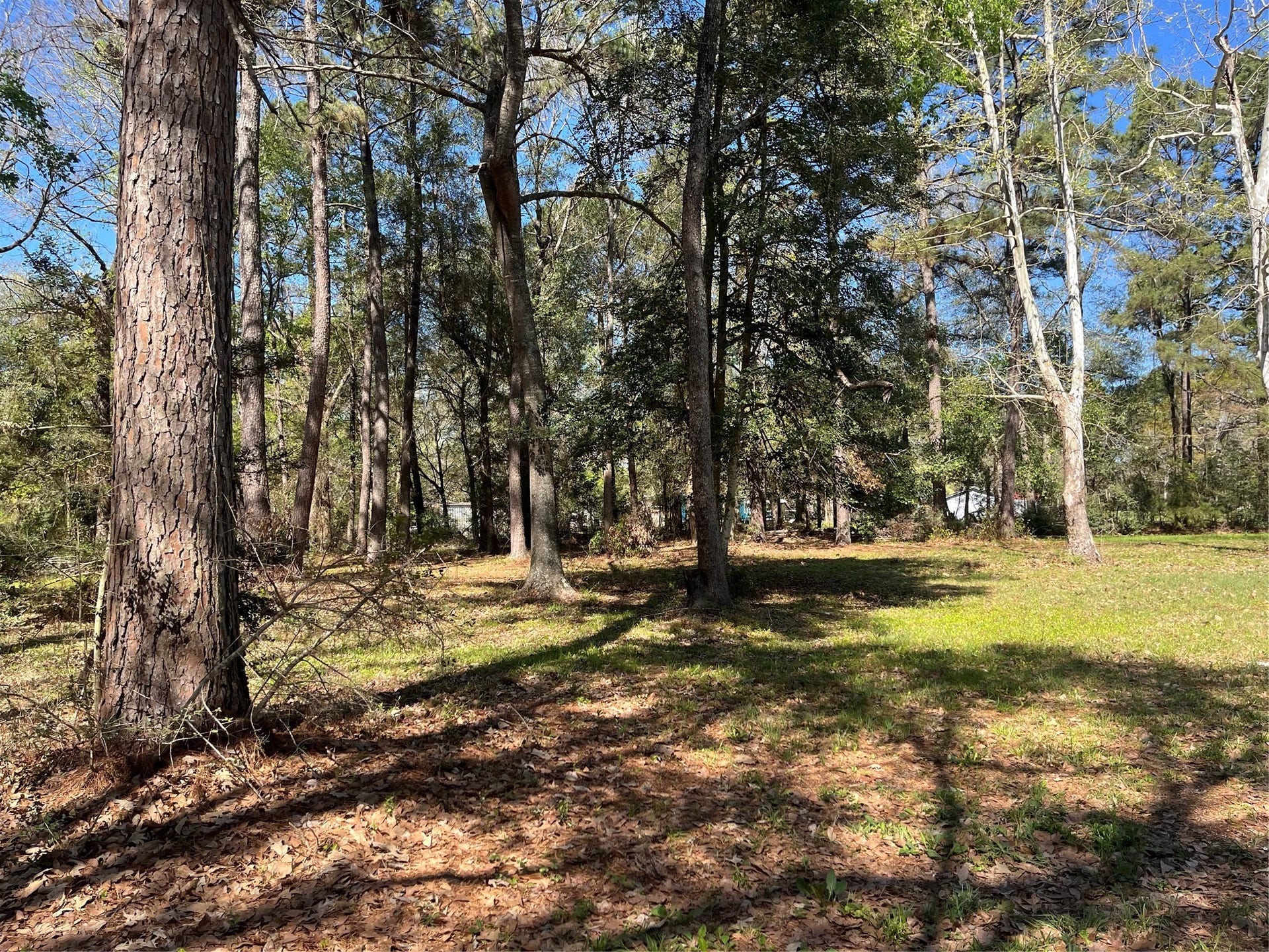13527 McComb Road, Conroe, TX 77302 13527 McComb Road, Conroe, TX 77302