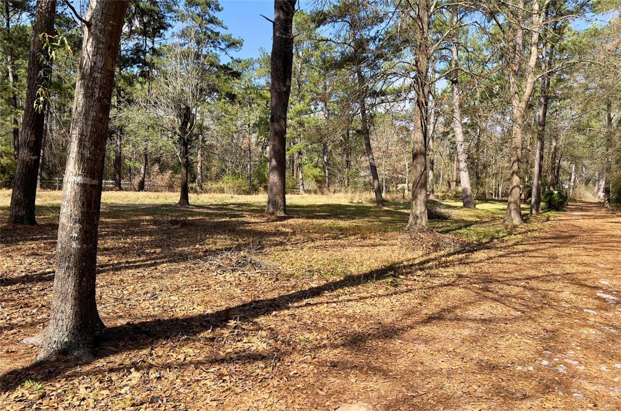 Property photo for TBD Kent Dr, New Caney, TX