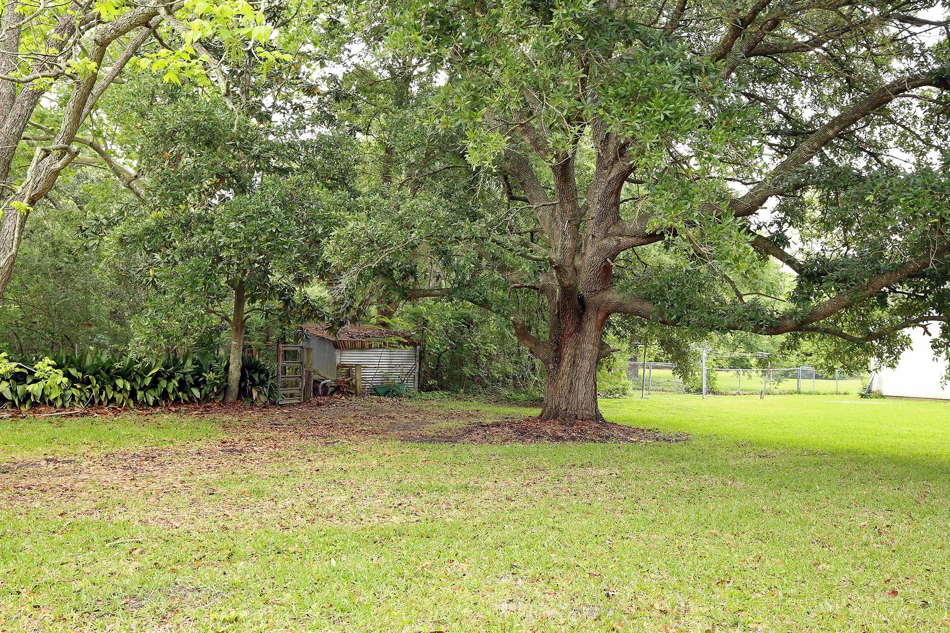 3804 Shady Lane, Santa Fe, TX 77517 Hidden gem: A charming chicken coop nestled beneath a majestic oak tree, perfect for your backyard oasis.