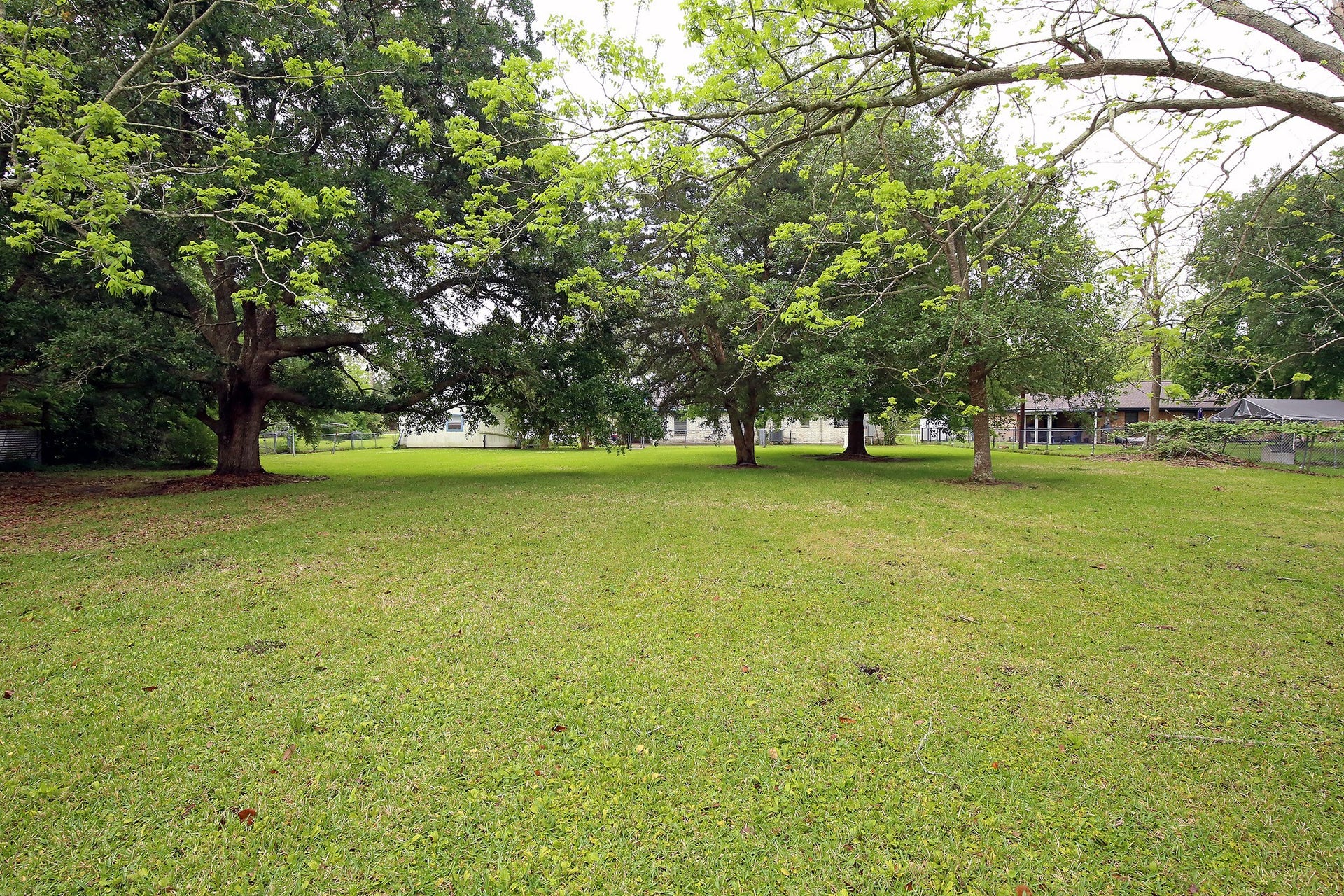 3804 Shady Lane, Santa Fe, TX 77517 Serene backyard oasis with lush, mature trees.