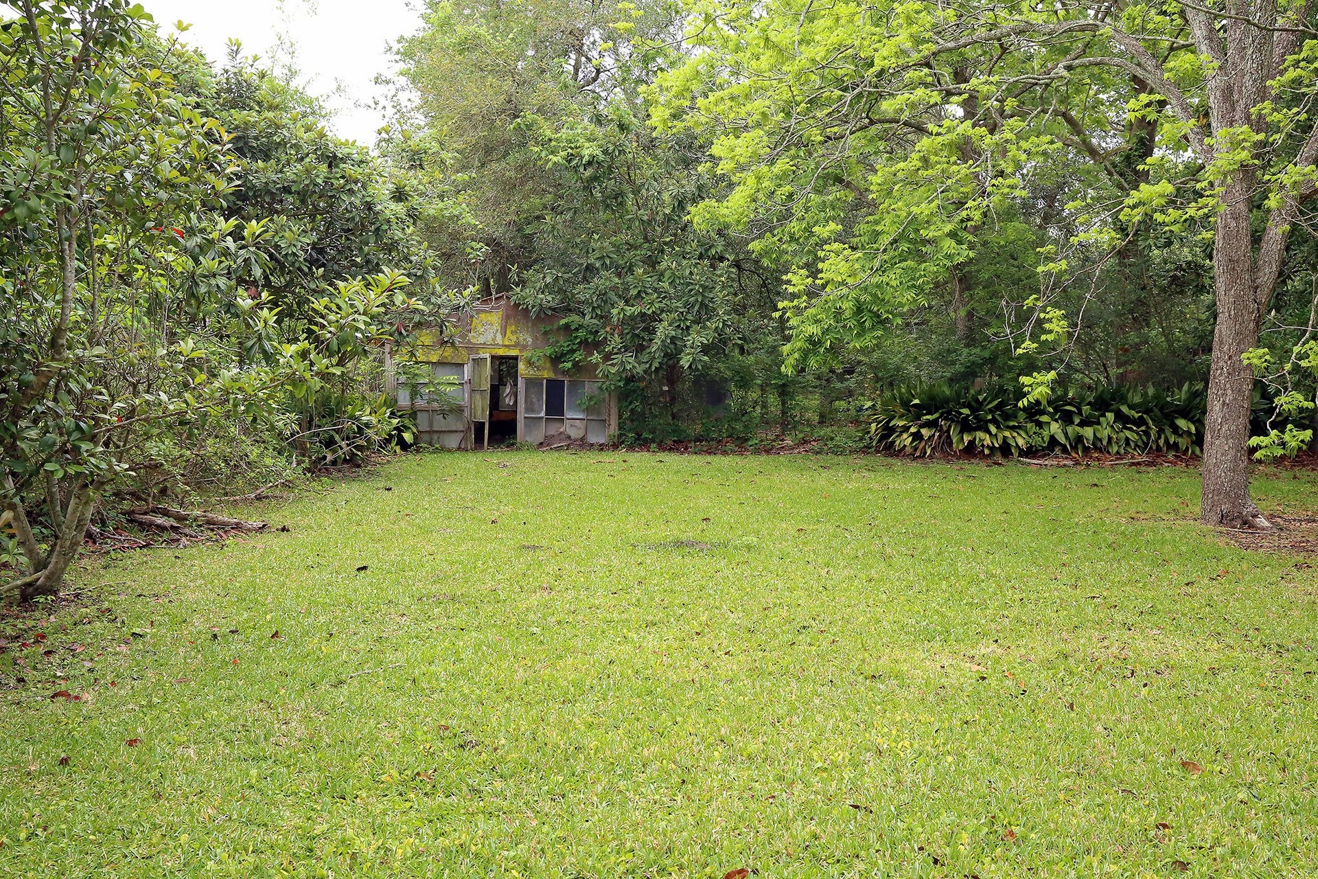 3804 Shady Lane, Santa Fe, TX 77517 The Greenhouse needs some love but the bones are there!