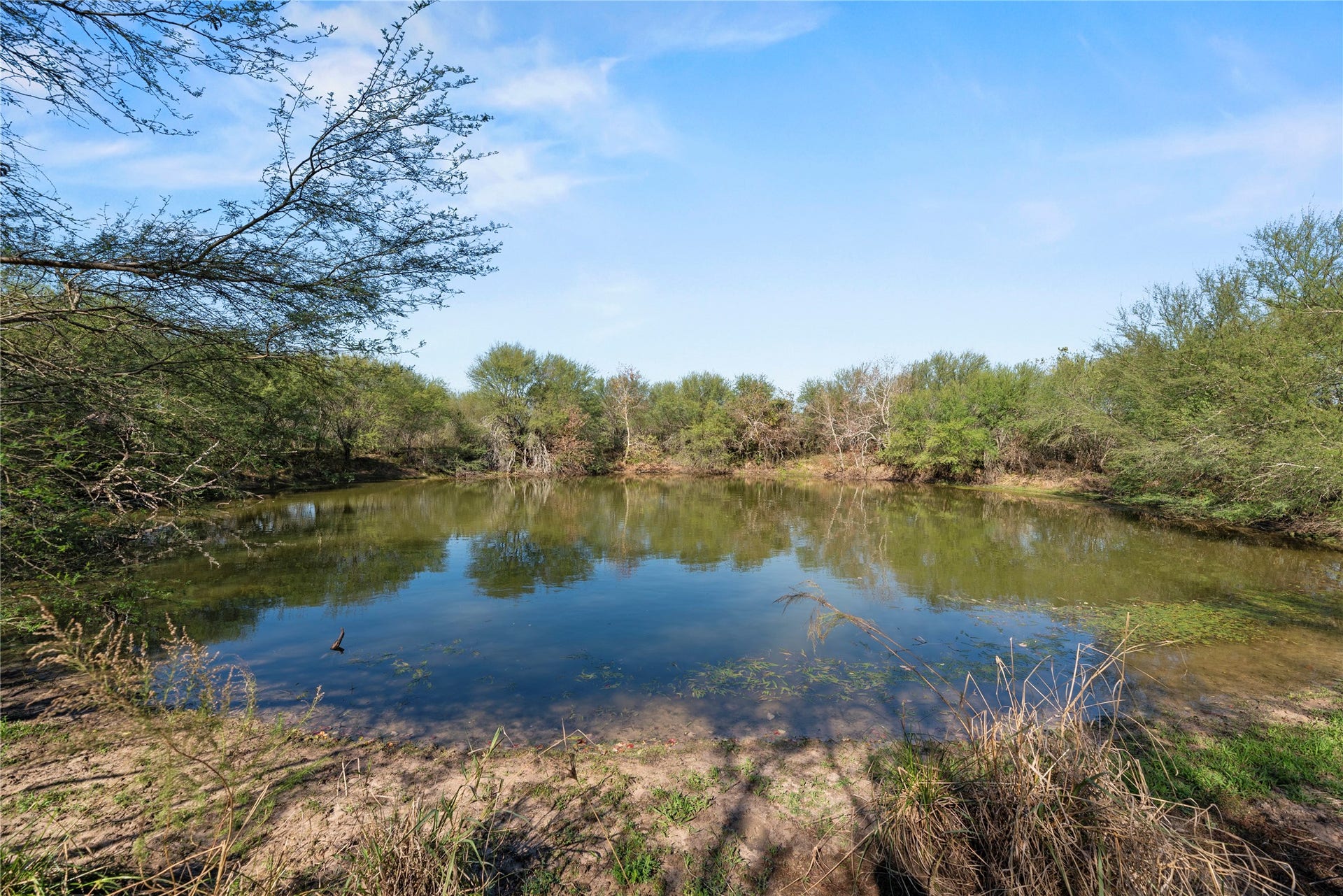 6490 Adams Flat Road, Brookshire, TX 77423 Pond #3