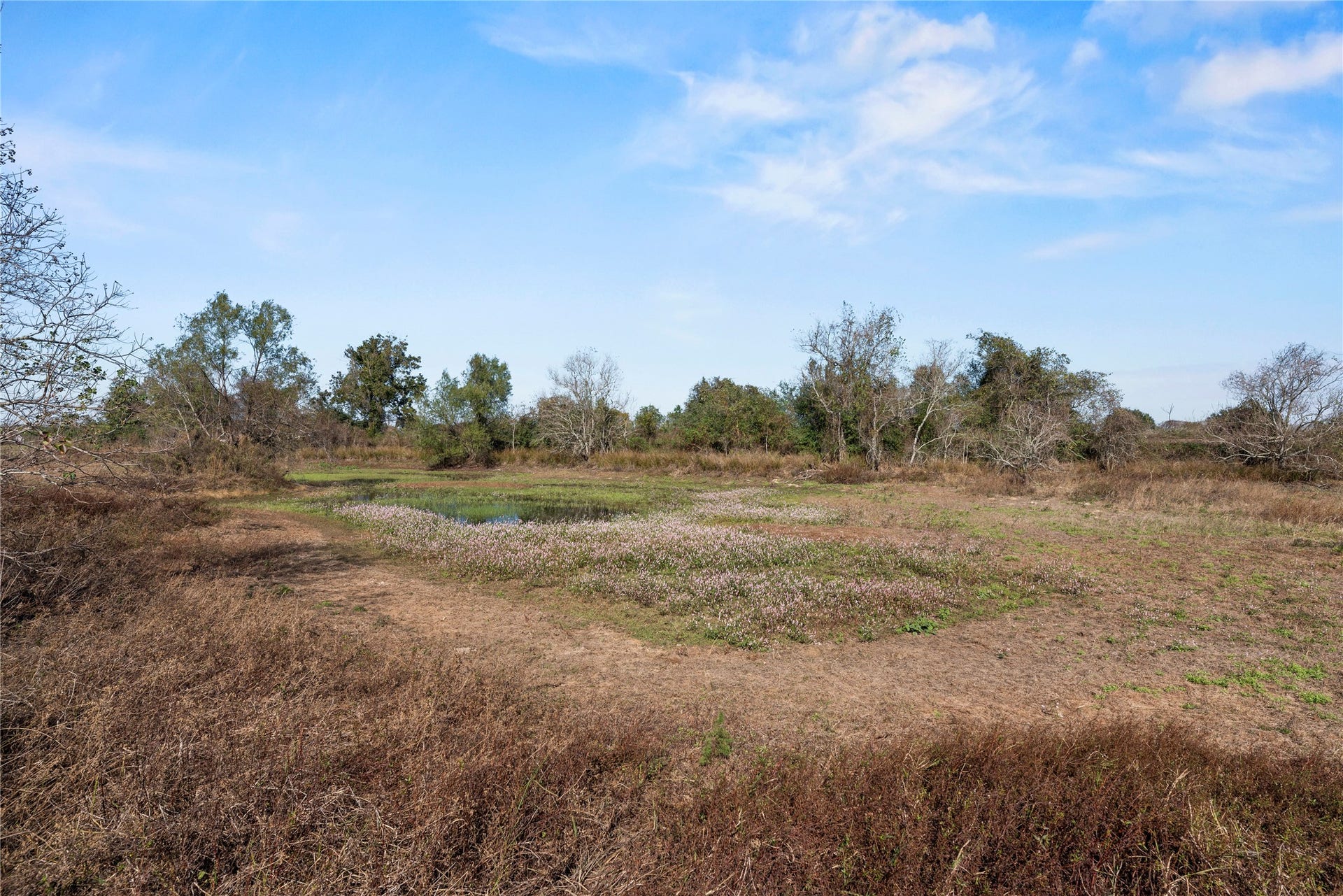 6490 Adams Flat Road, Brookshire, TX 77423 6490 Adams Flat Road, Brookshire, TX 77423
