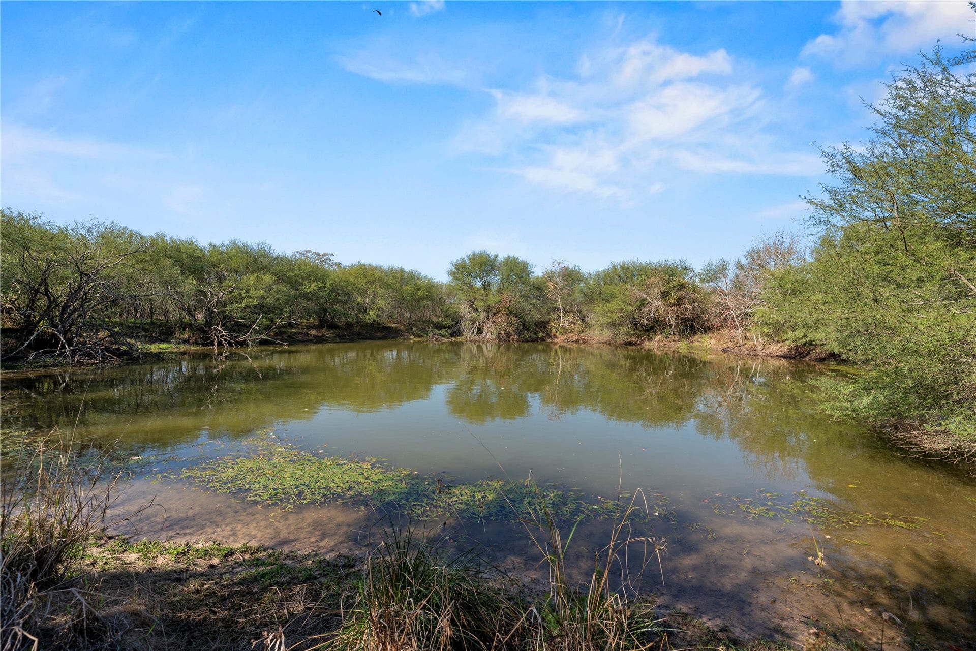 6490 Adams Flat Road, Brookshire, TX 77423 Pond #2