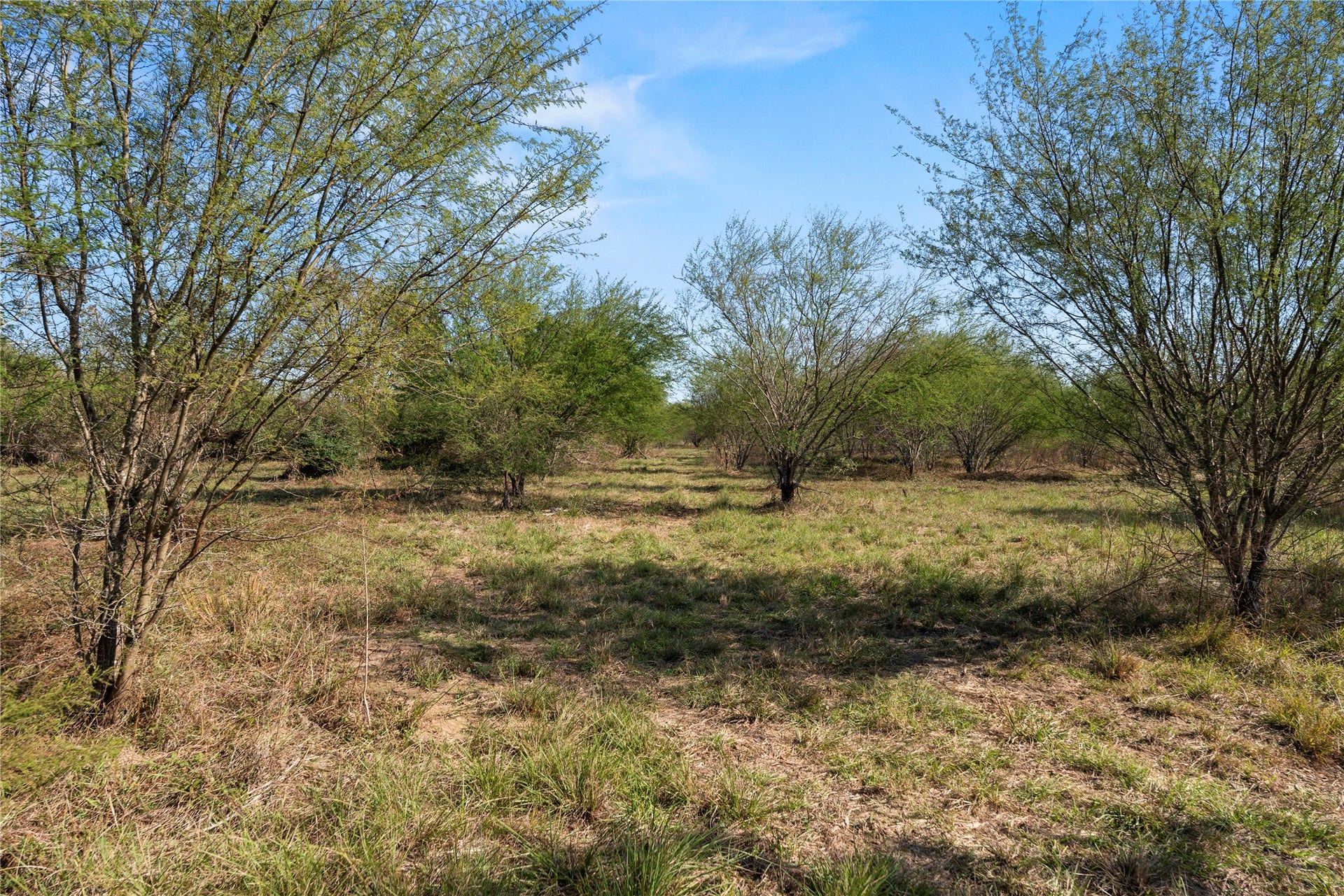 6490 Adams Flat Road, Brookshire, TX 77423 6490 Adams Flat Road, Brookshire, TX 77423