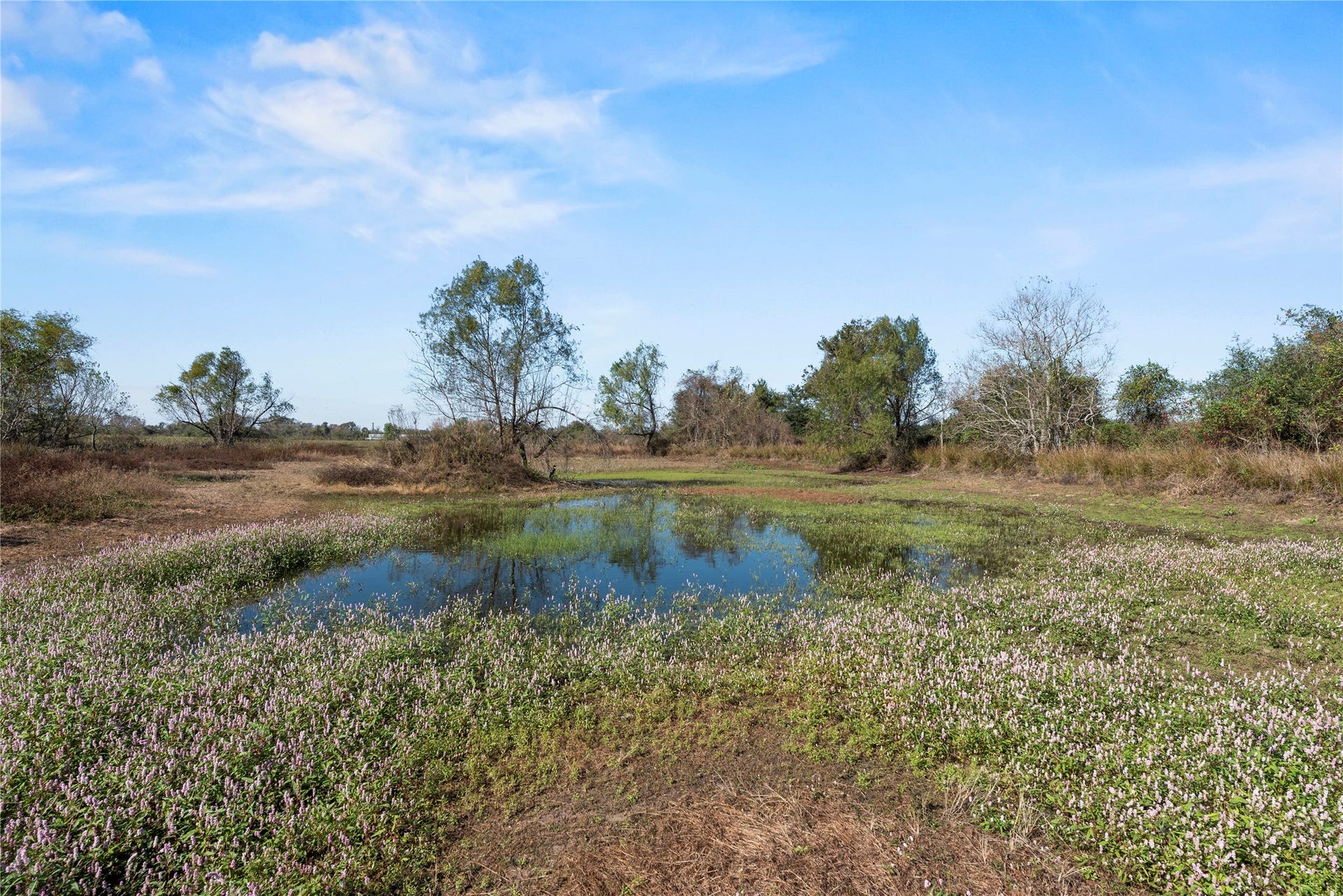 6490 Adams Flat Road, Brookshire, TX 77423 6490 Adams Flat Road, Brookshire, TX 77423