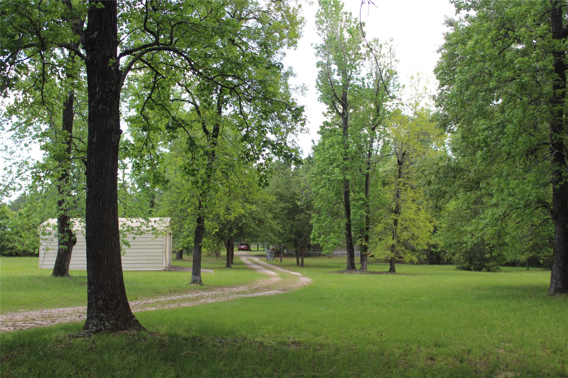 9103 Pine Lane, Magnolia, TX 77354 9103 Pine Lane, Magnolia, TX 77354