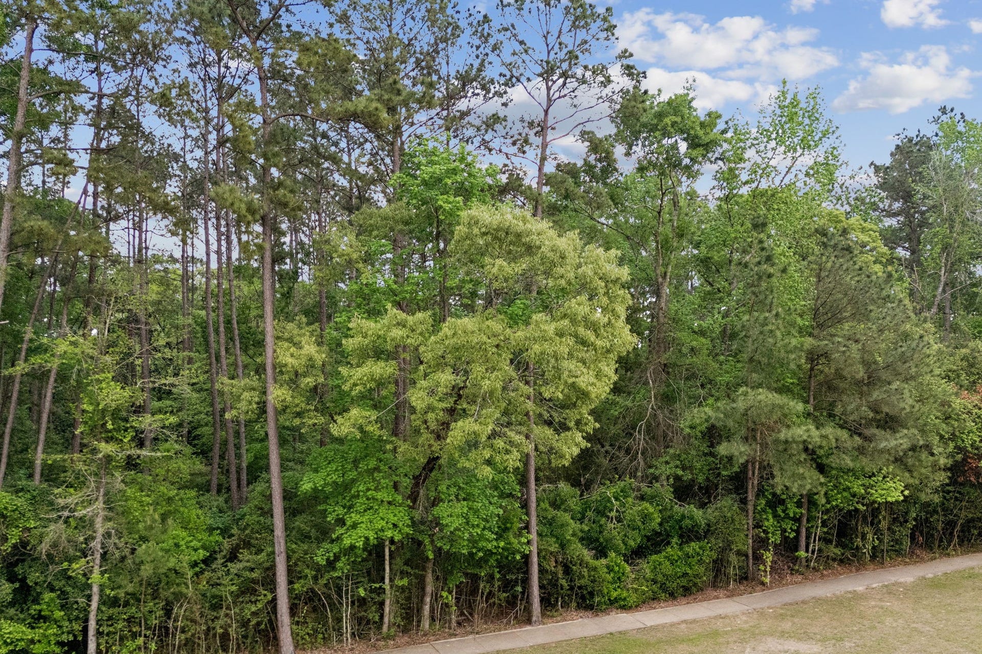 27318 Whispering Maple Way, Spring, TX 77386 27318 Whispering Maple Way, Spring, TX 77386
