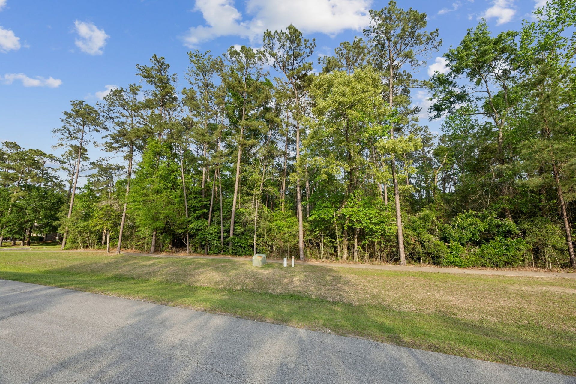 27318 Whispering Maple Way, Spring, TX 77386 27318 Whispering Maple Way, Spring, TX 77386